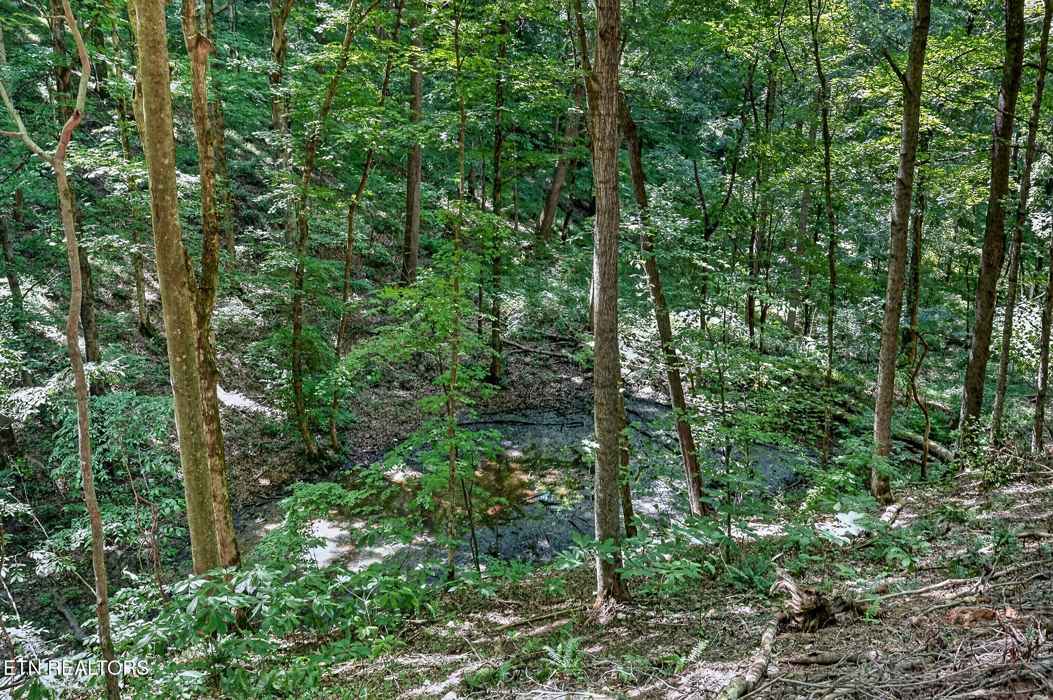 2926 Bryant Ridge Road Baxter TN 38544