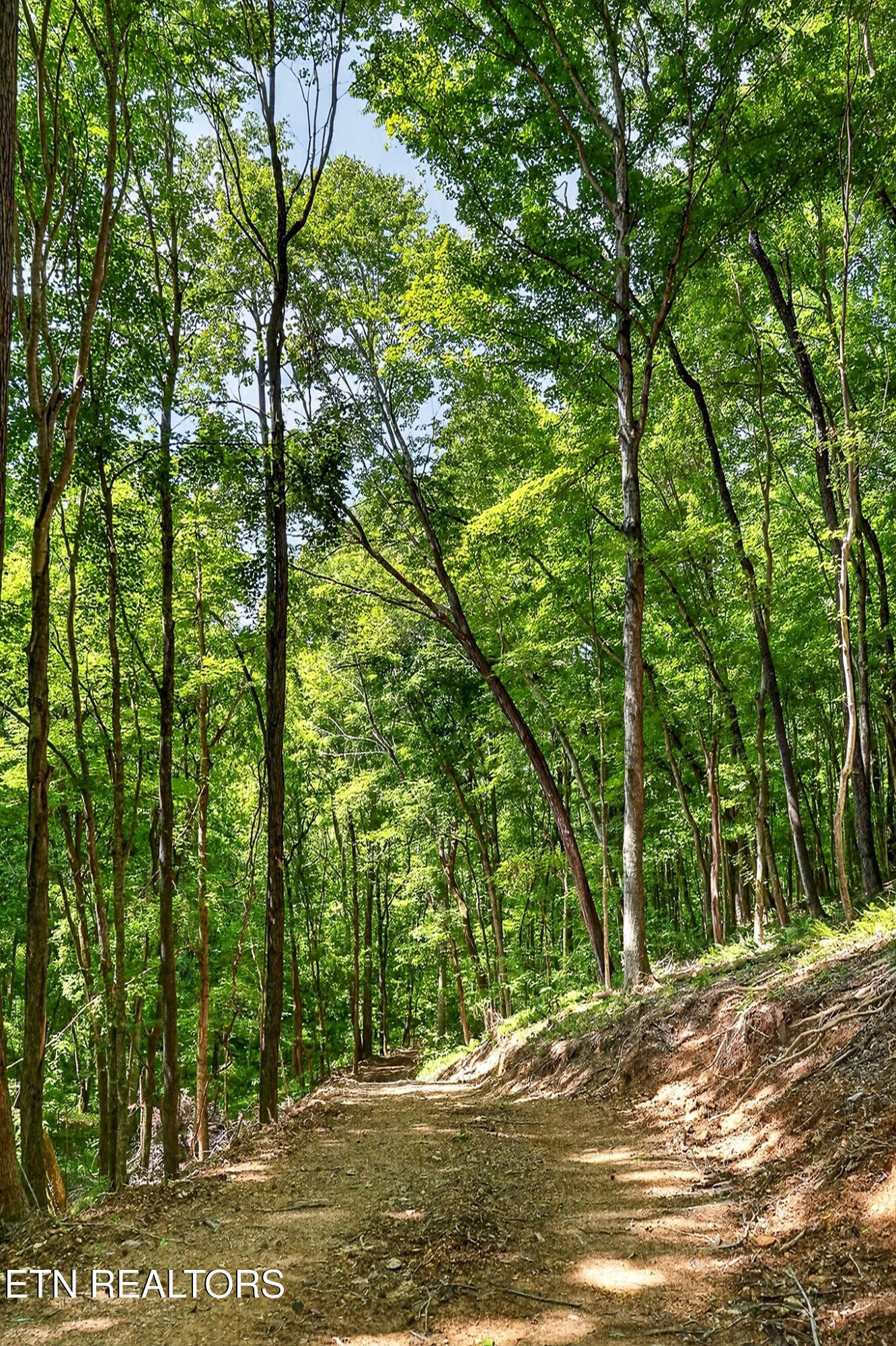 2926 Bryant Ridge Road Baxter TN 38544