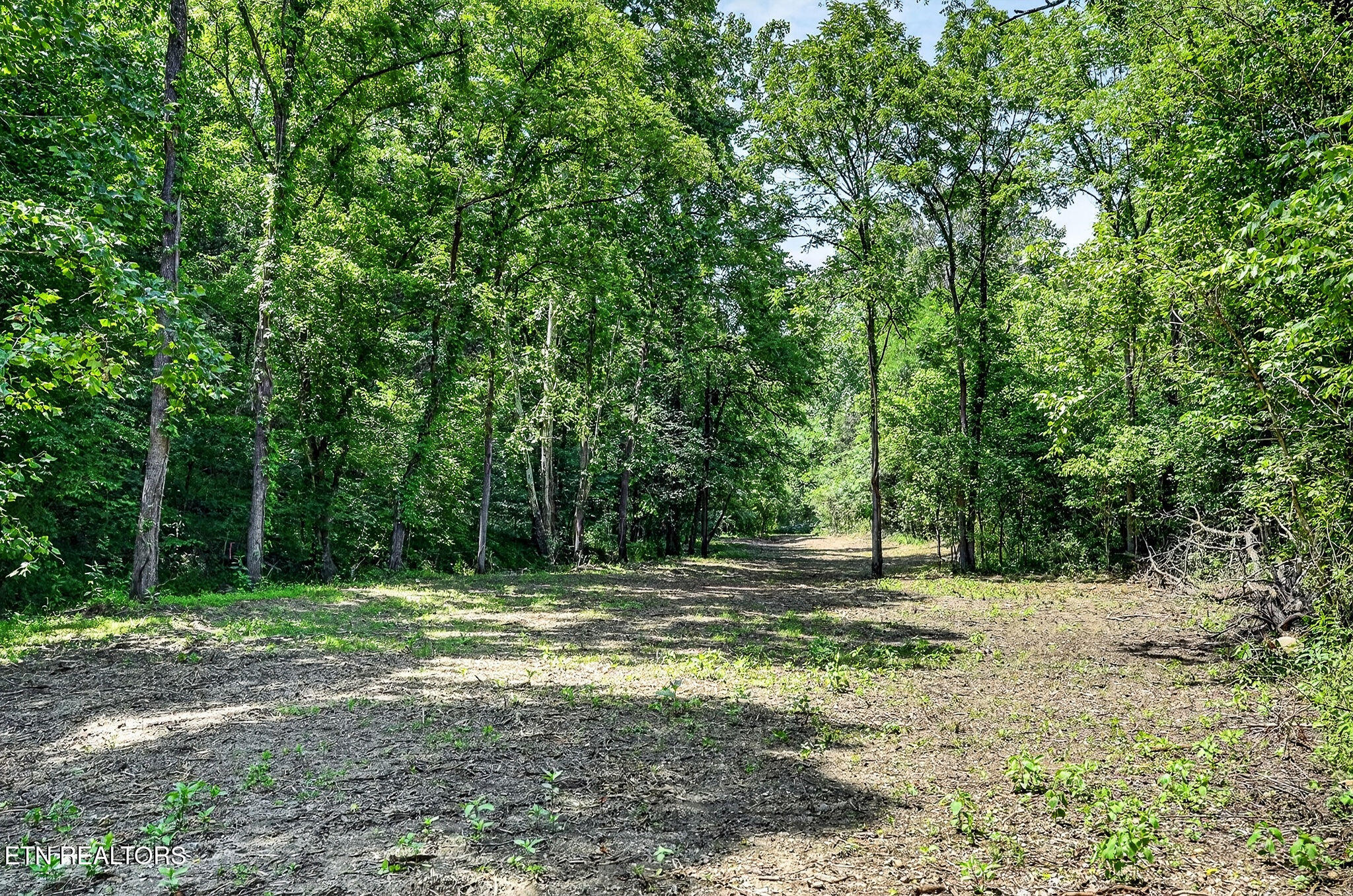 2926 Bryant Ridge Road Baxter TN 38544
