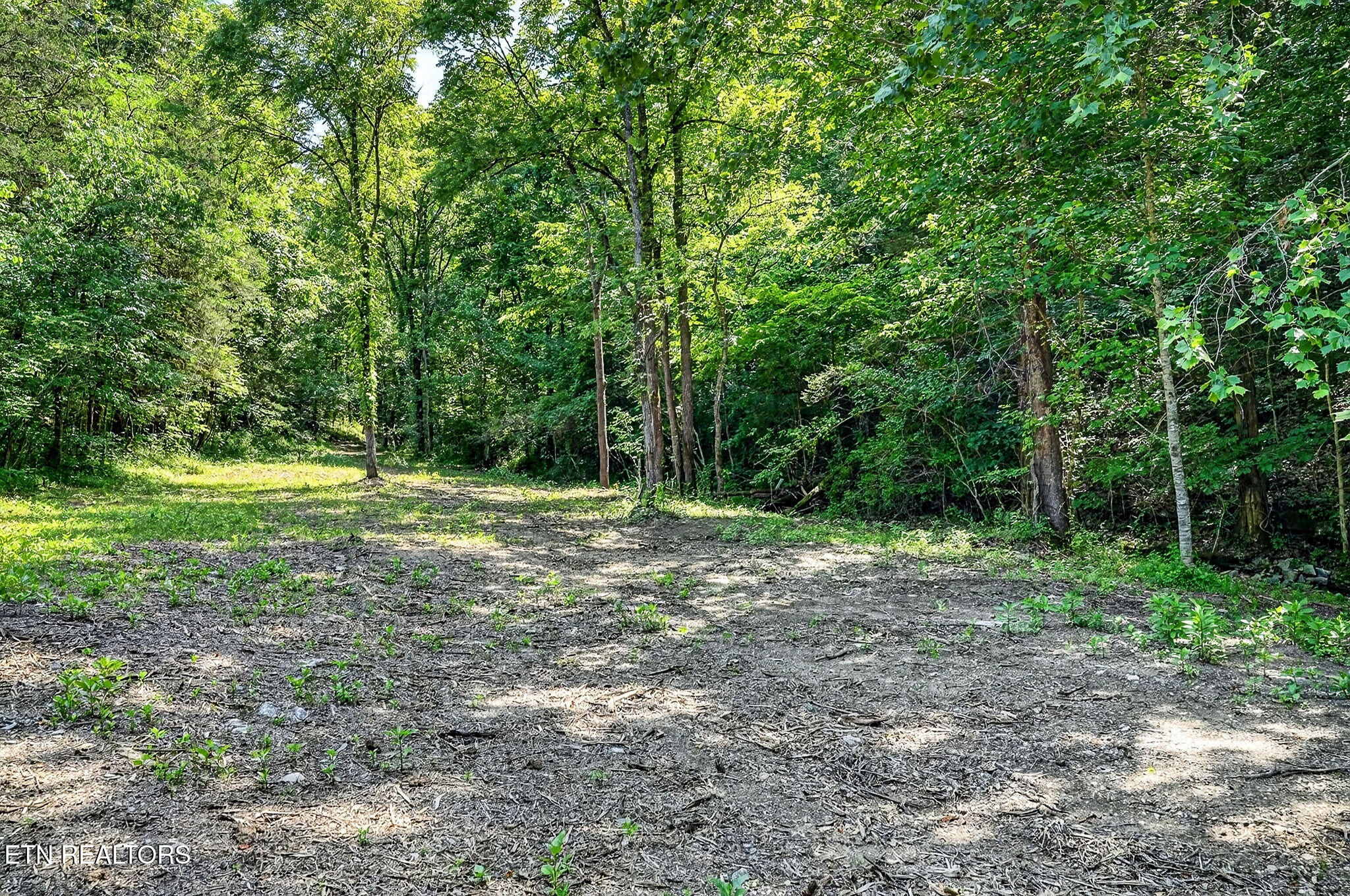 2926 Bryant Ridge Road Baxter TN 38544