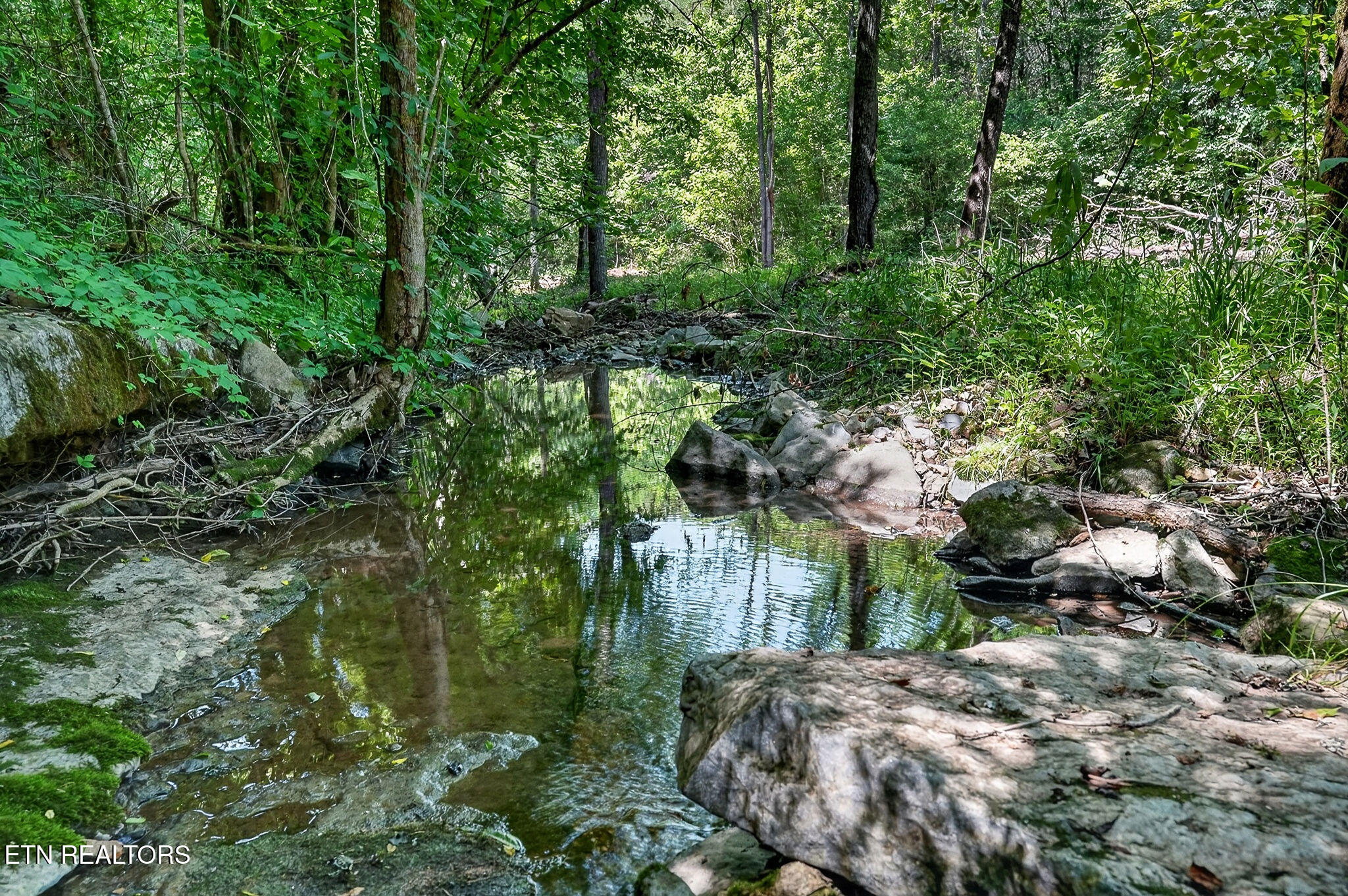 2926 Bryant Ridge Road Baxter TN 38544