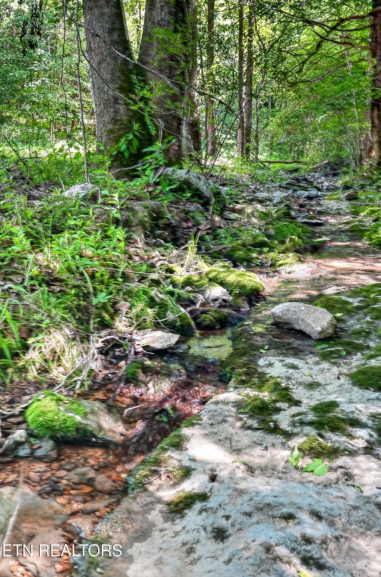 2926 Bryant Ridge Road Baxter TN 38544