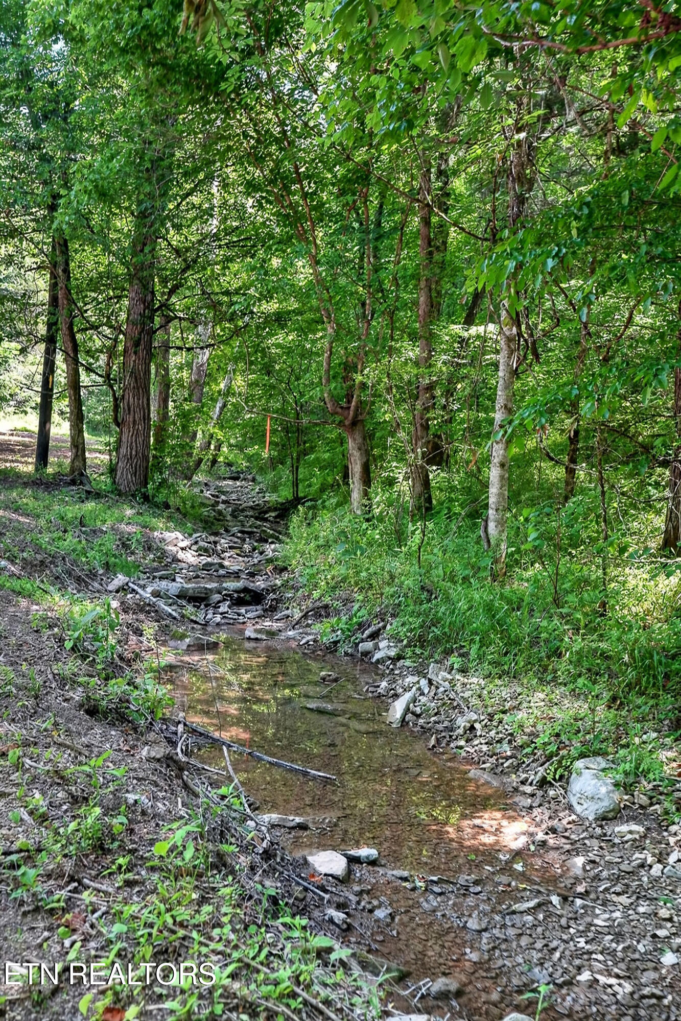 2926 Bryant Ridge Road Baxter TN 38544