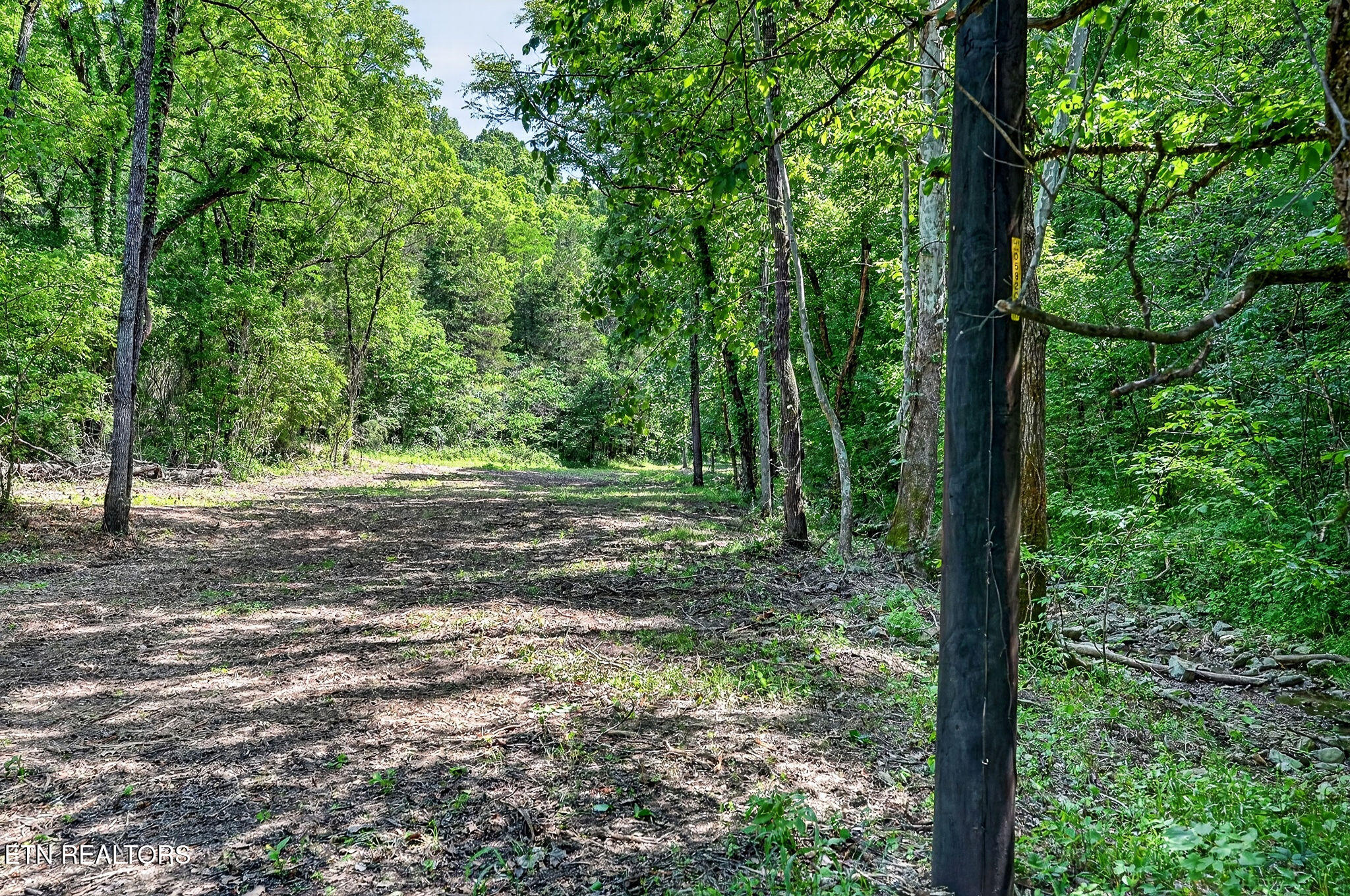 2926 Bryant Ridge Road Baxter TN 38544