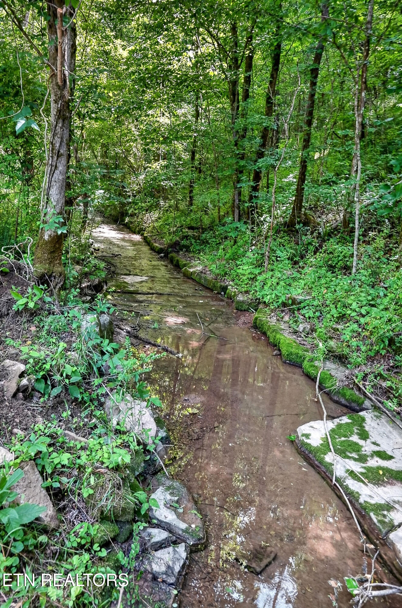 2926 Bryant Ridge Road Baxter TN 38544