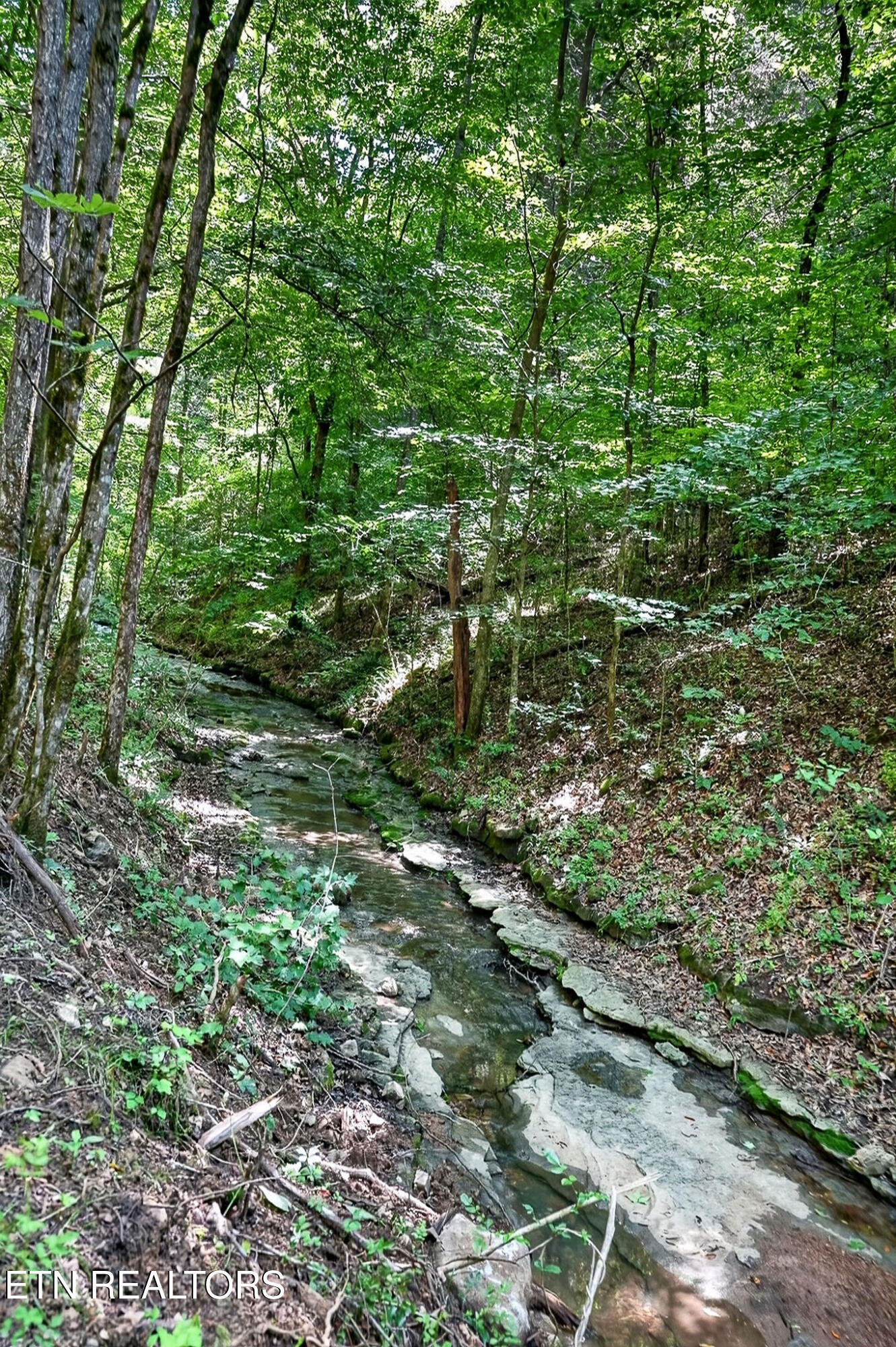 2926 Bryant Ridge Road Baxter TN 38544