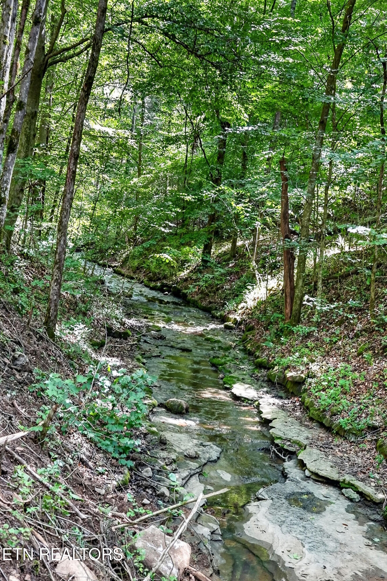2926 Bryant Ridge Road Baxter TN 38544