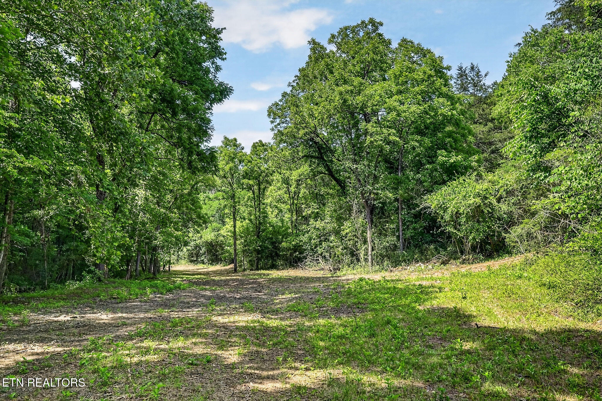 2926 Bryant Ridge Road Baxter TN 38544