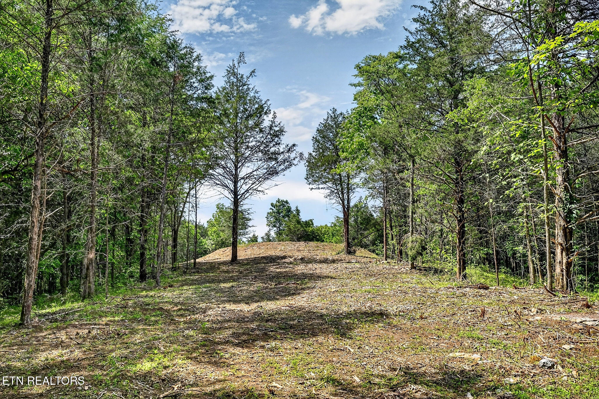 2926 Bryant Ridge Road Baxter TN 38544