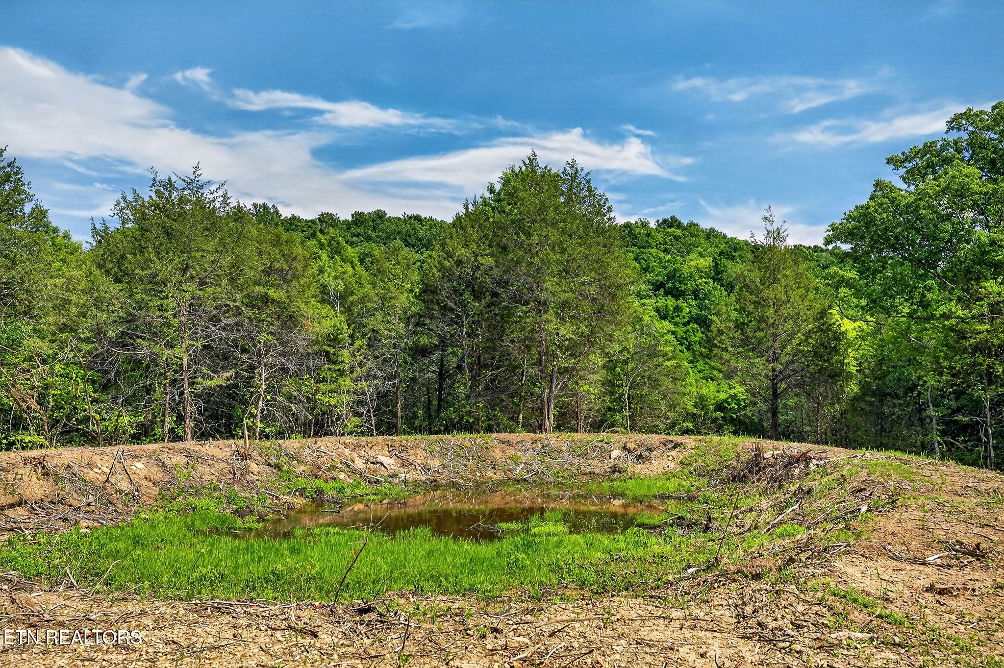 2926 Bryant Ridge Road Baxter TN 38544