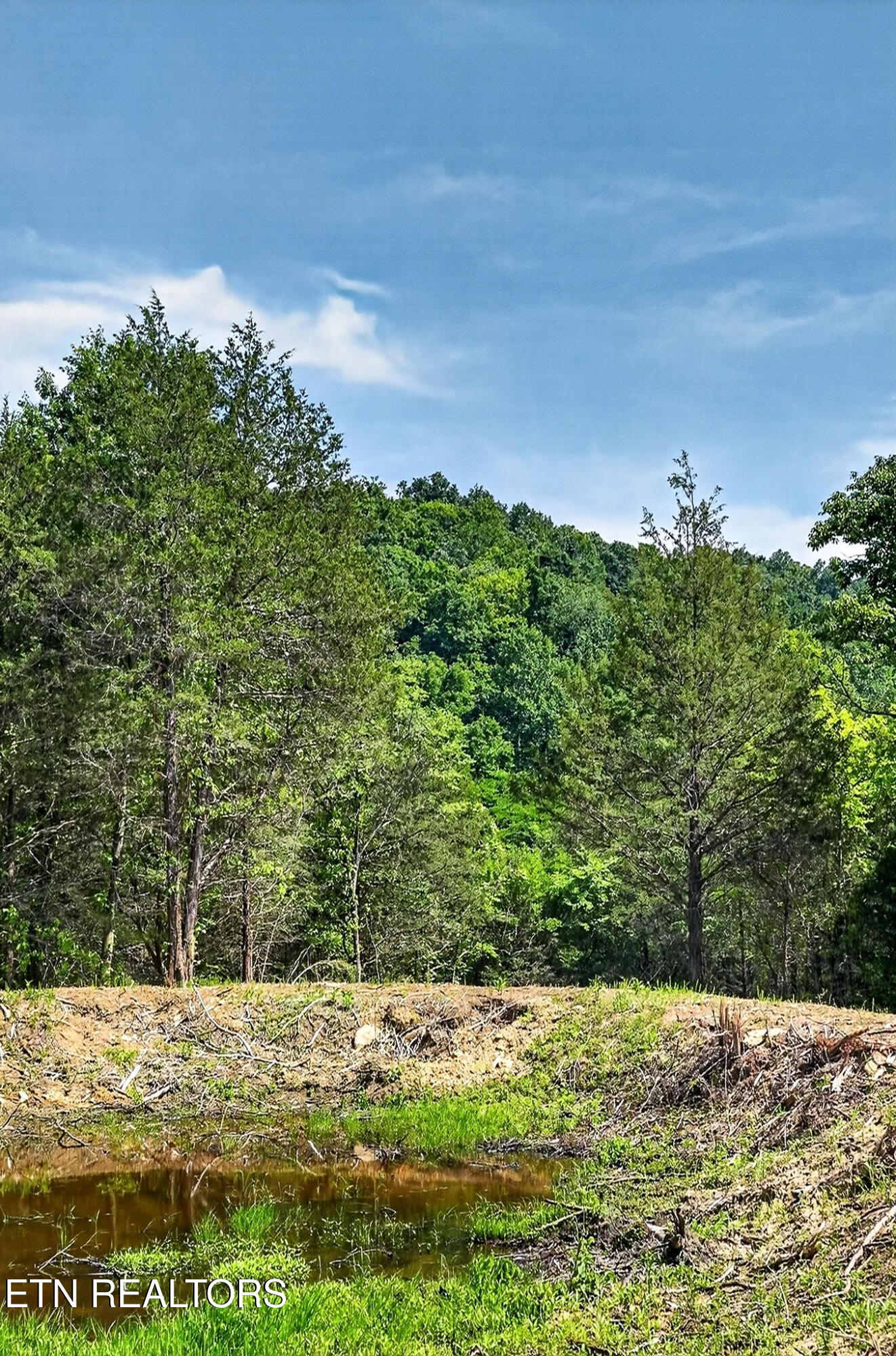 2926 Bryant Ridge Road Baxter TN 38544