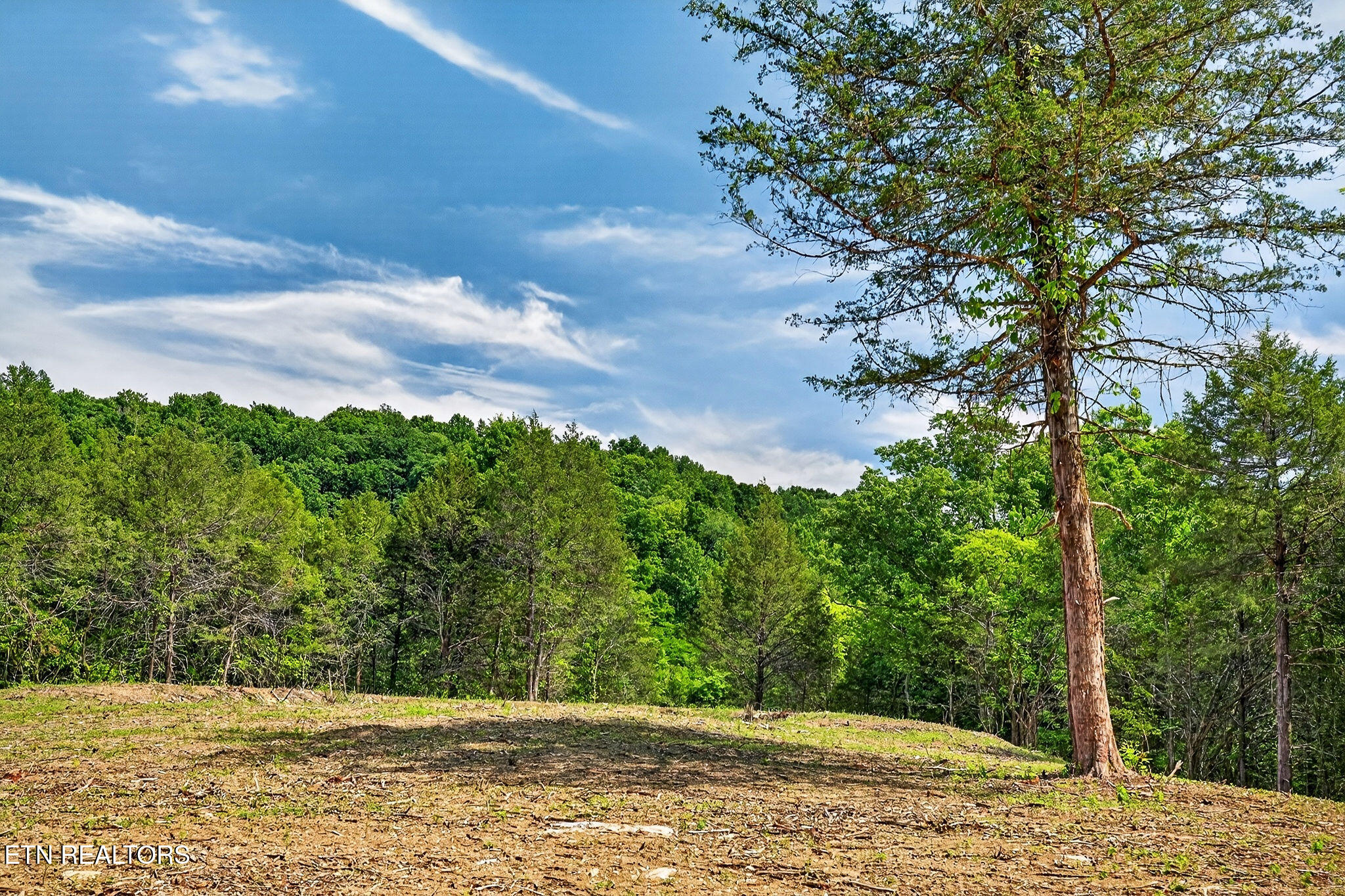 2926 Bryant Ridge Road Baxter TN 38544