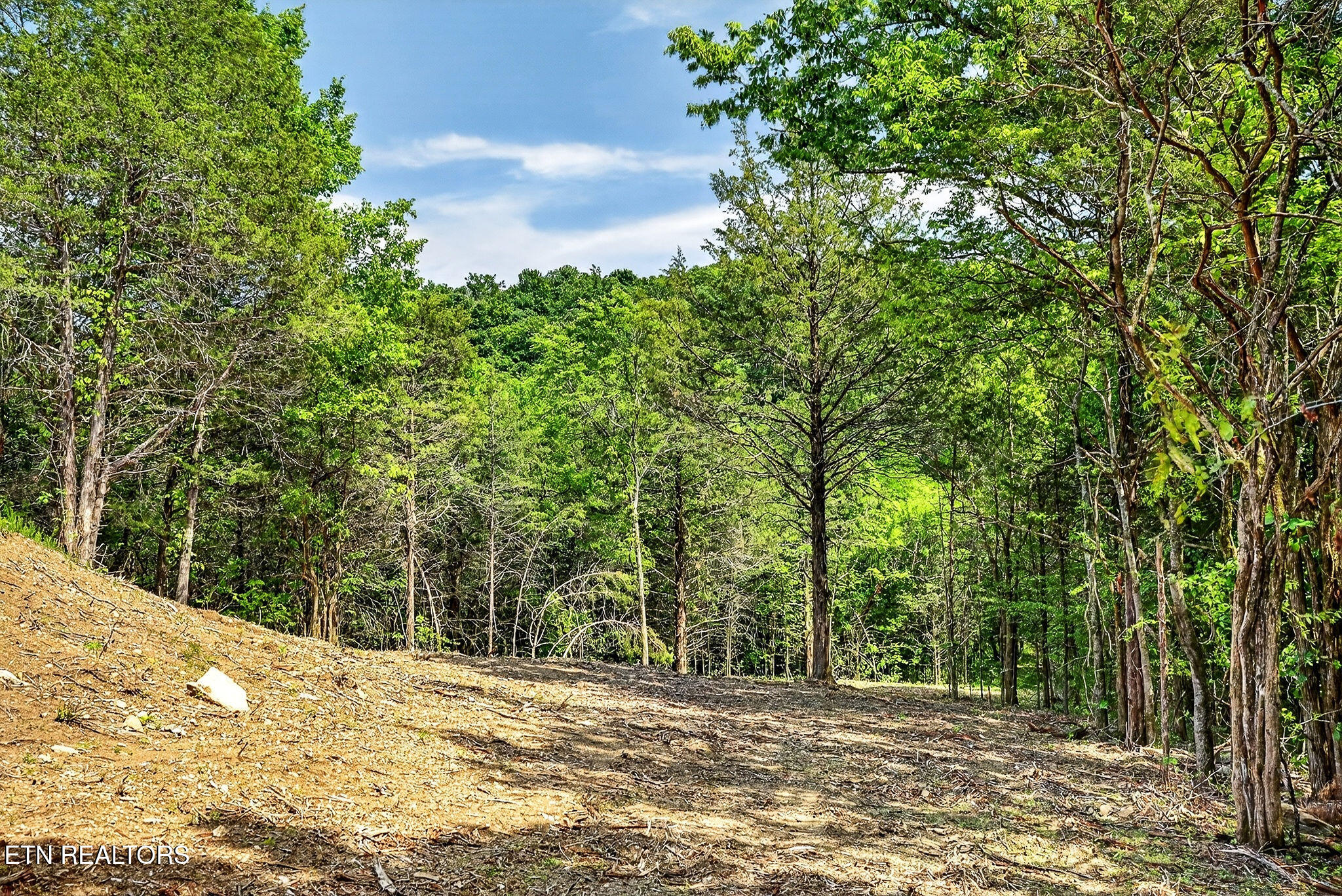 2926 Bryant Ridge Road Baxter TN 38544