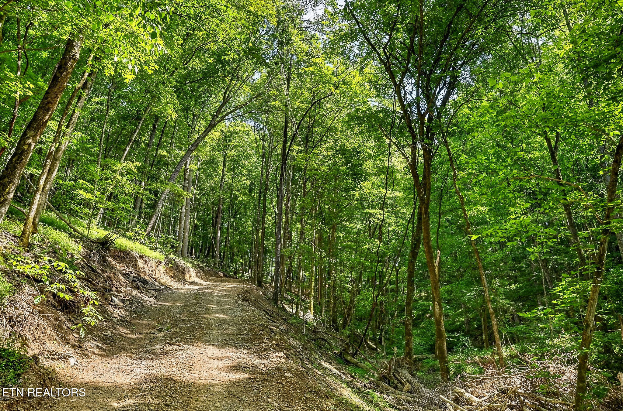2926 Bryant Ridge Road Baxter TN 38544