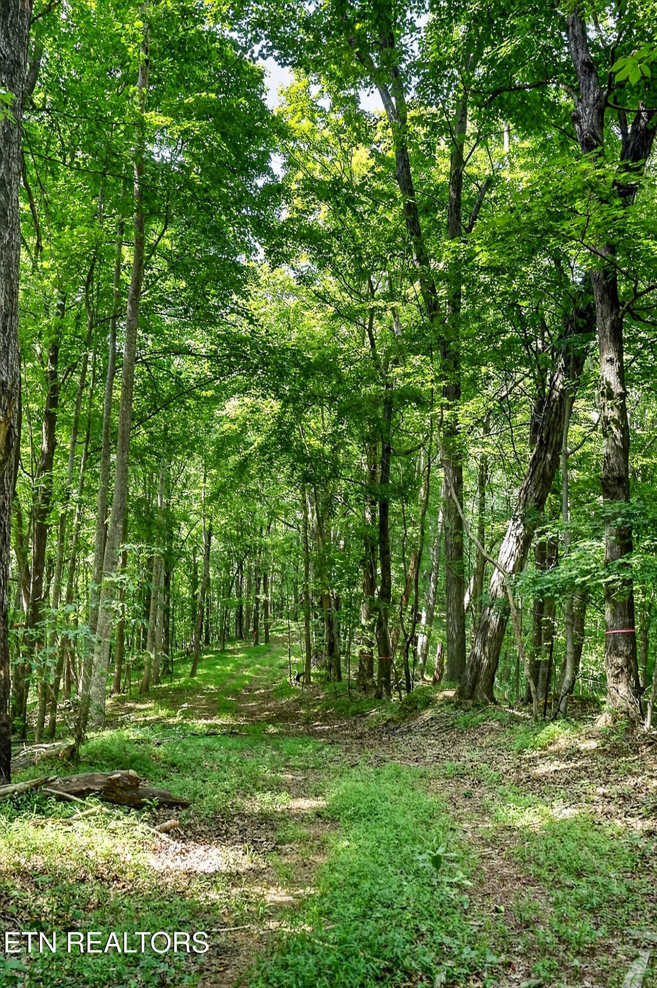 2926 Bryant Ridge Road Baxter TN 38544
