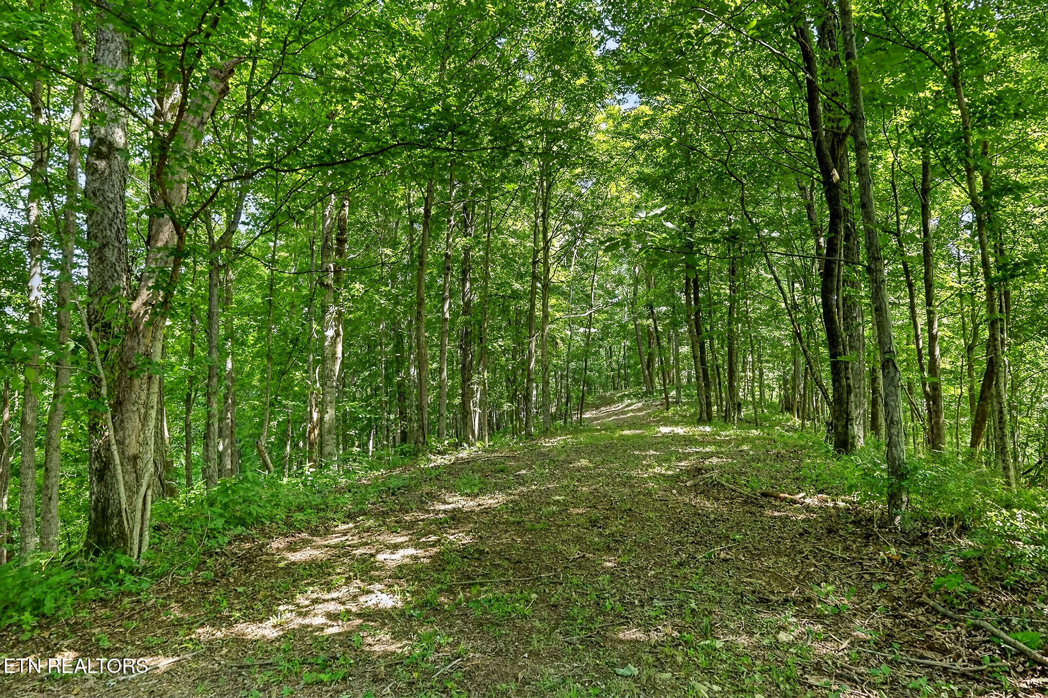 2926 Bryant Ridge Road Baxter TN 38544