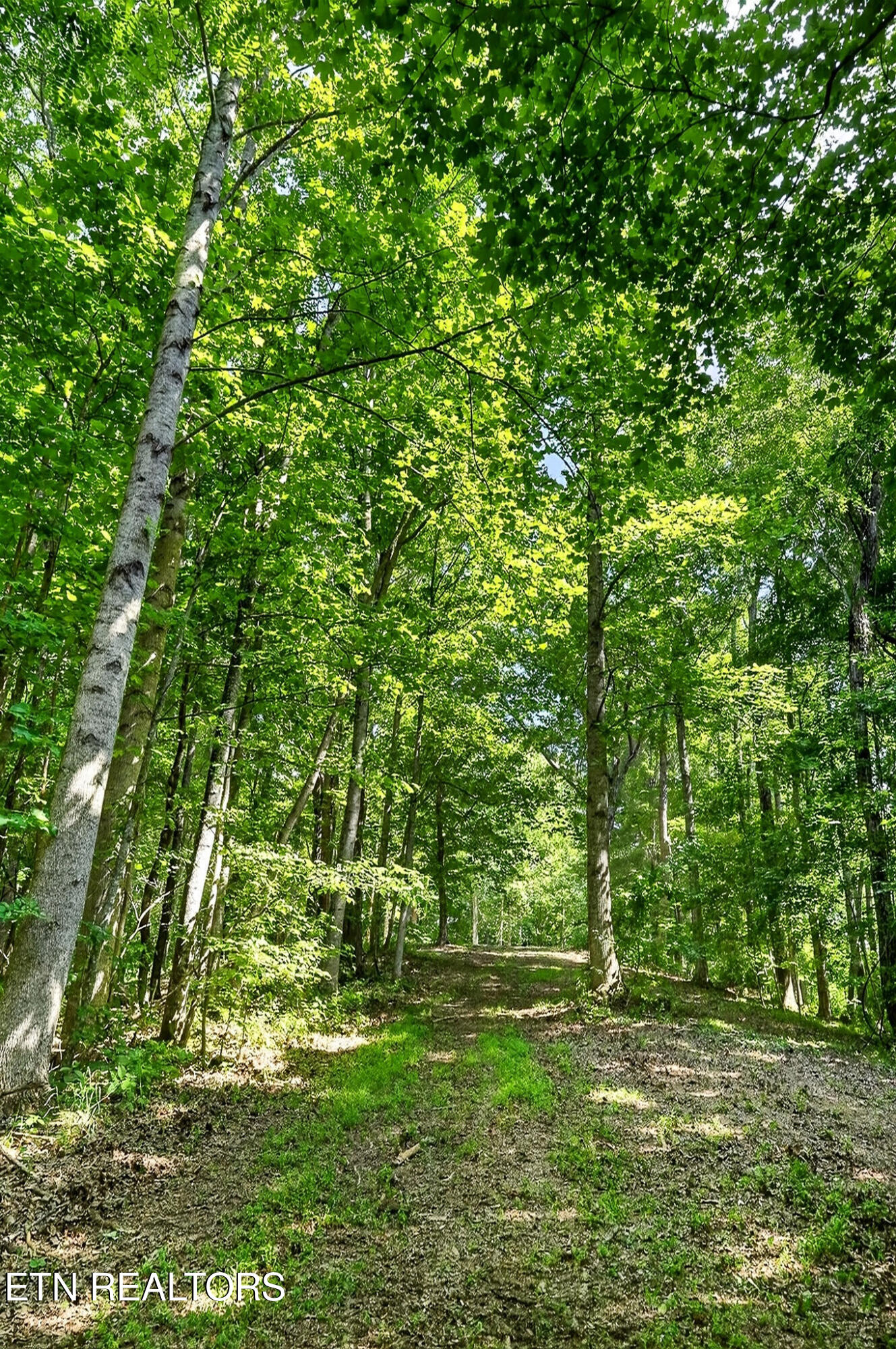 2926 Bryant Ridge Road Baxter TN 38544