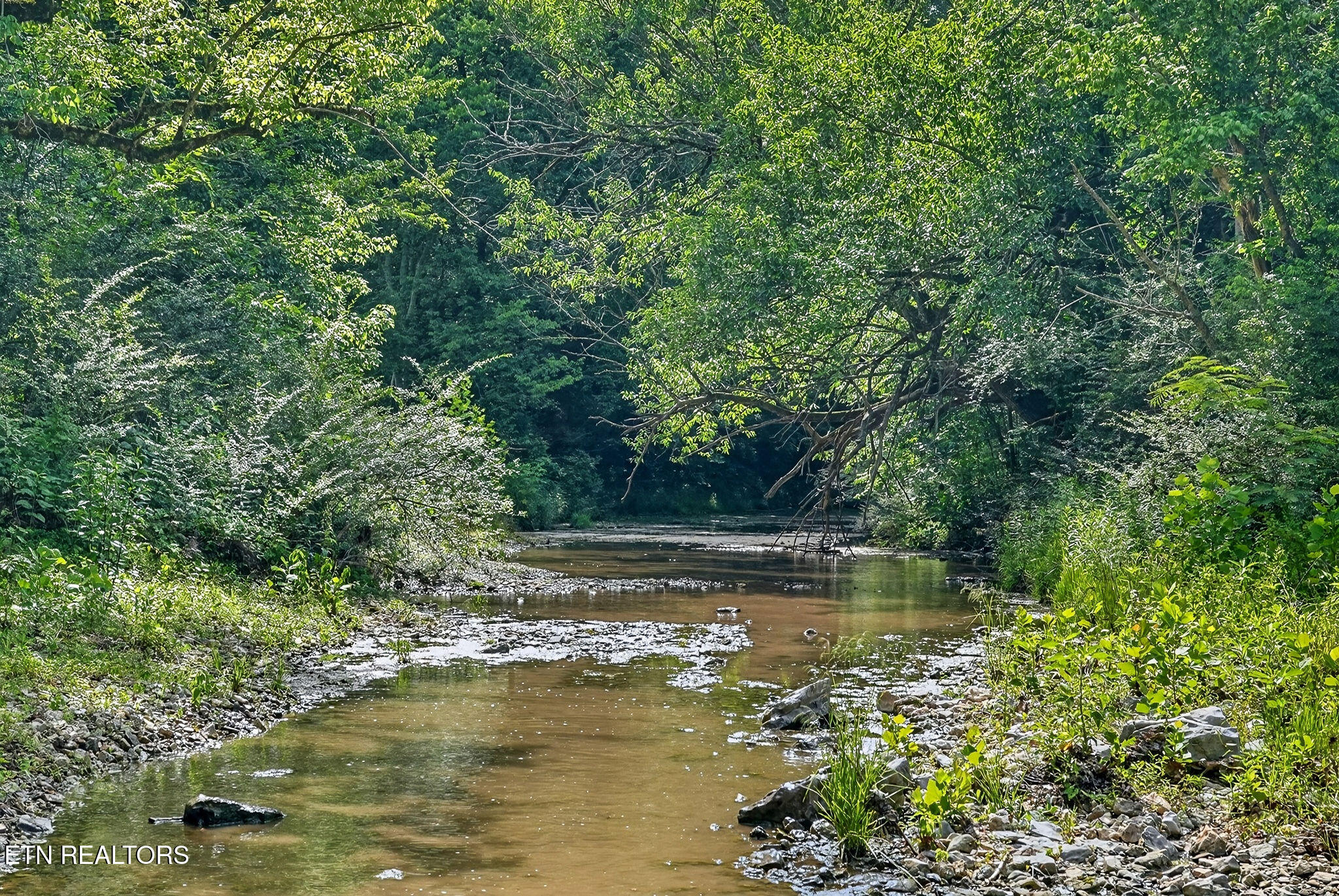 2926 Bryant Ridge Road Baxter TN 38544