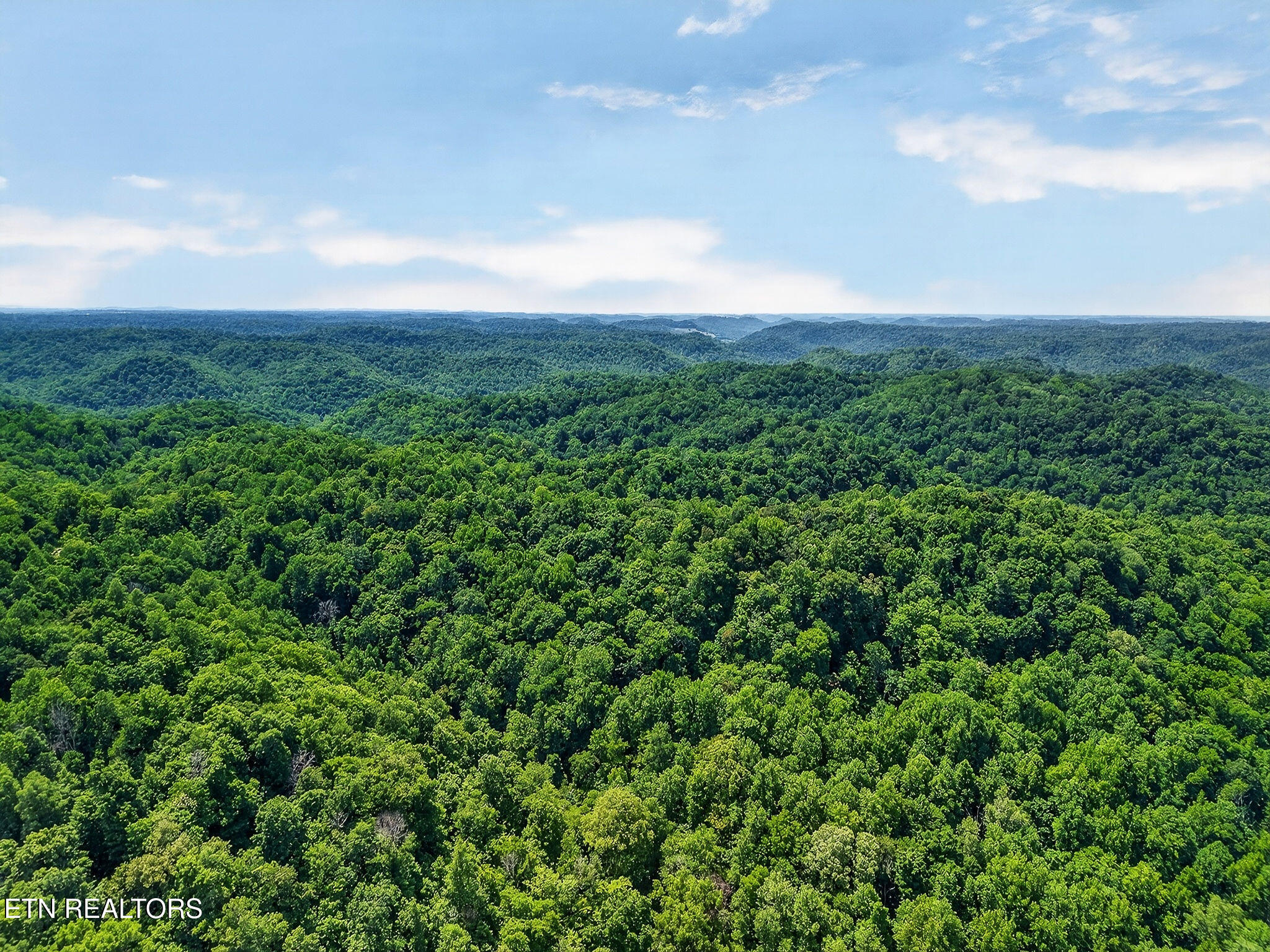 2926 Bryant Ridge Road Baxter TN 38544