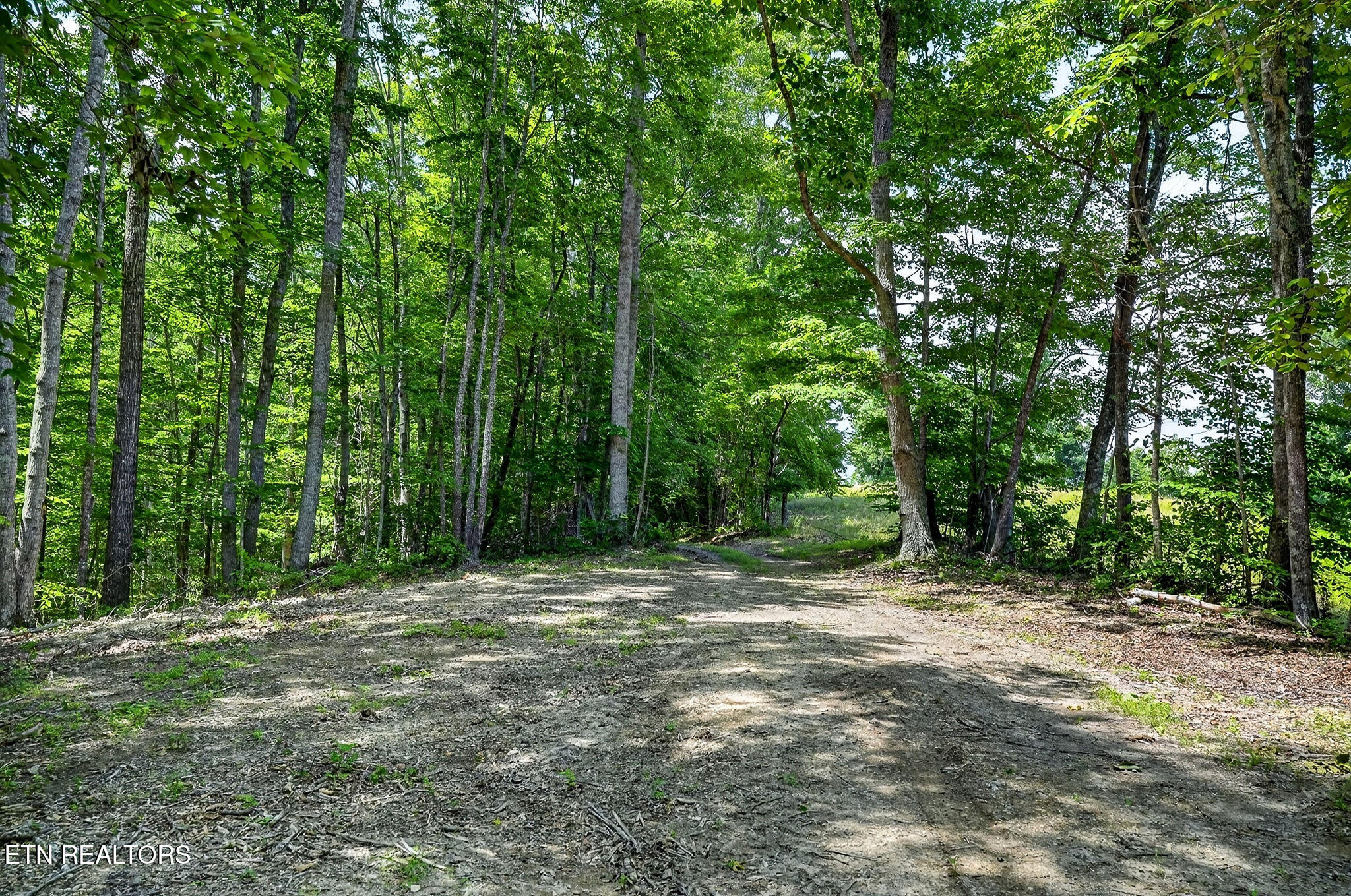 2926 Bryant Ridge Road Baxter TN 38544