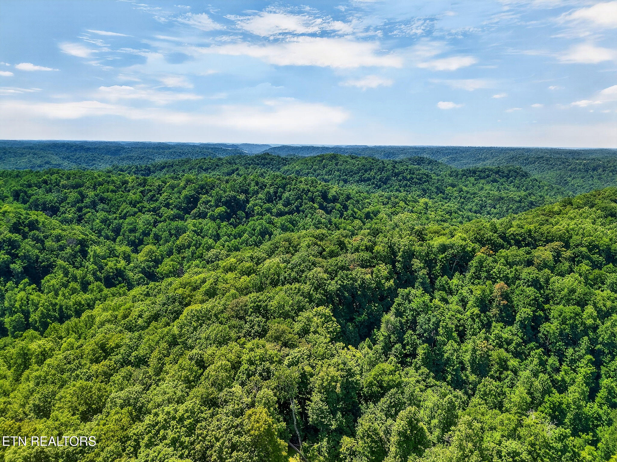 2926 Bryant Ridge Road Baxter TN 38544