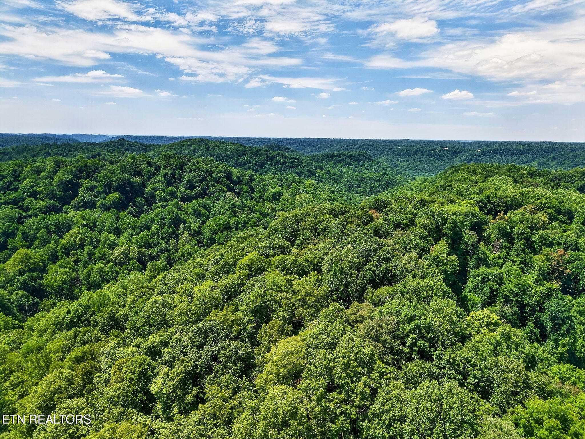 2926 Bryant Ridge Road Baxter TN 38544