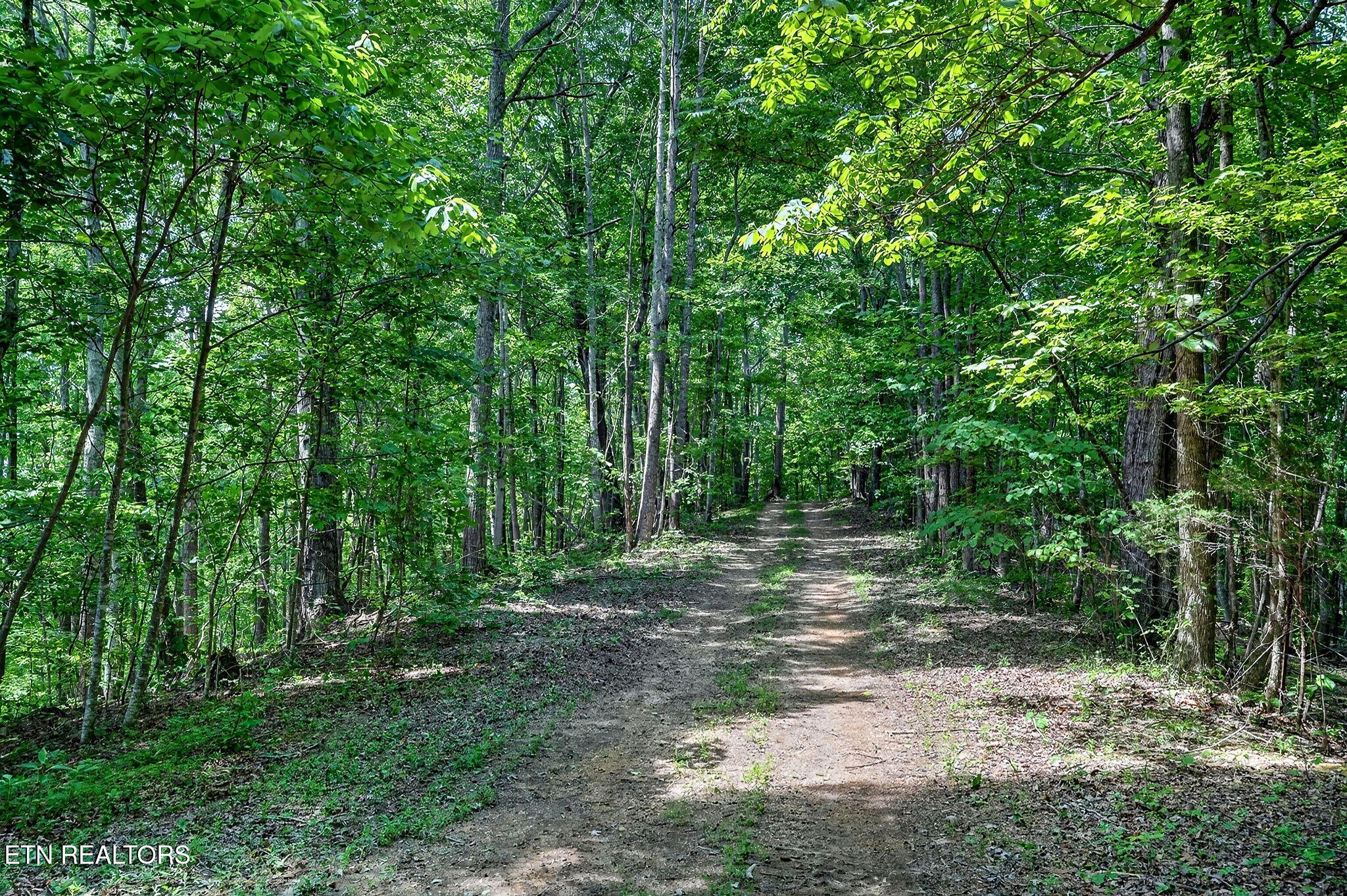 2926 Bryant Ridge Road Baxter TN 38544