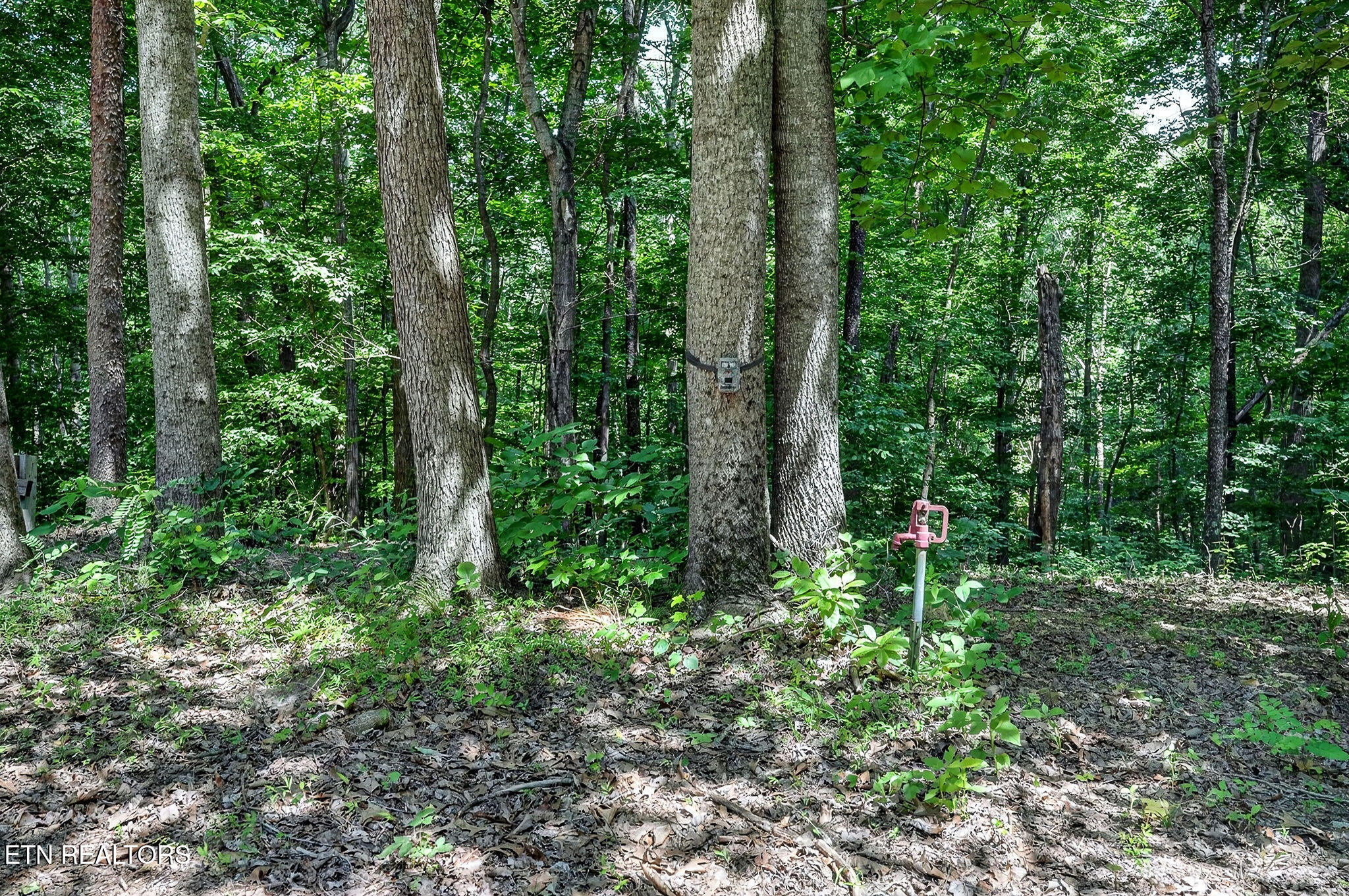 2926 Bryant Ridge Road Baxter TN 38544
