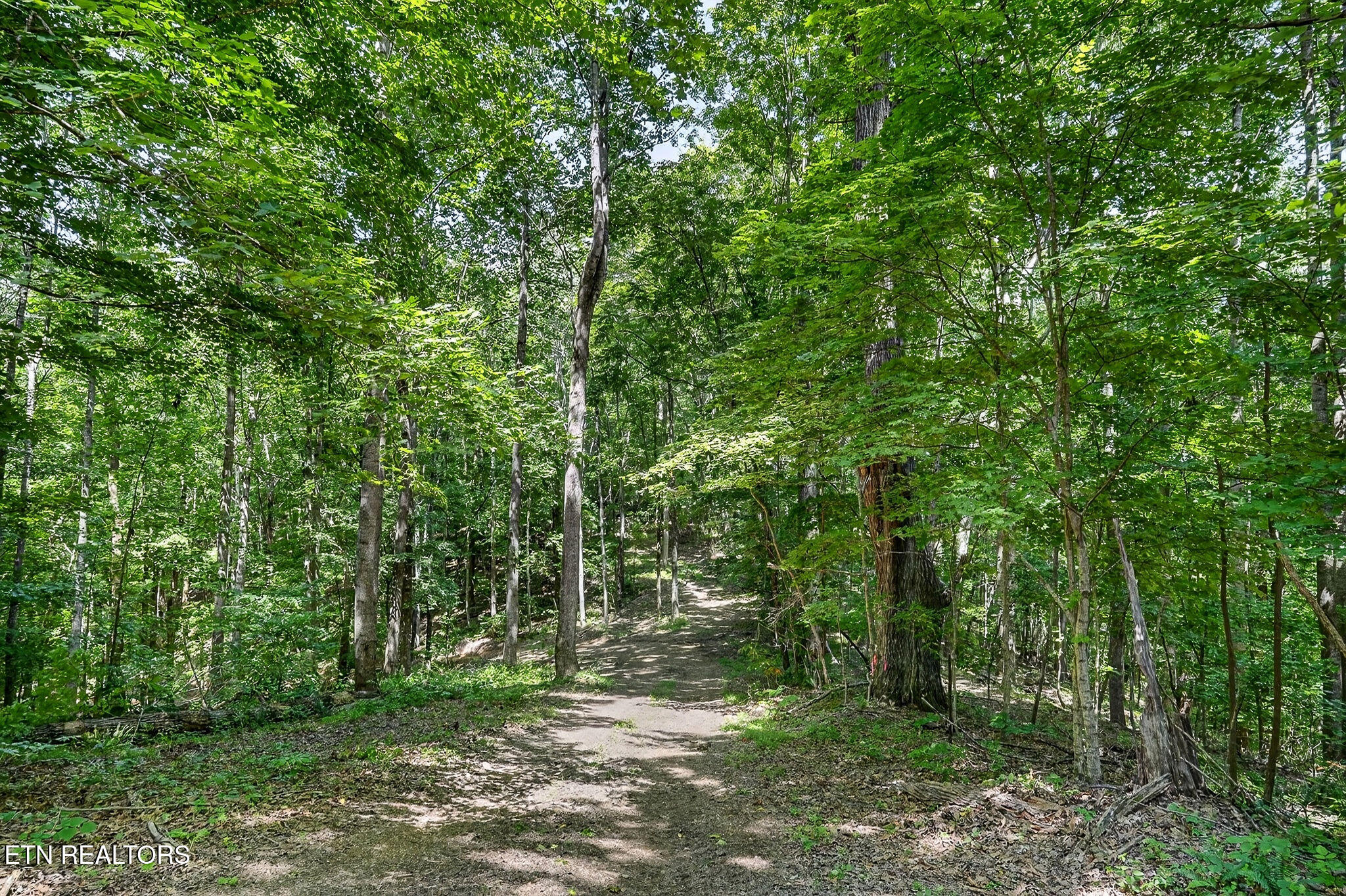 2926 Bryant Ridge Road Baxter TN 38544