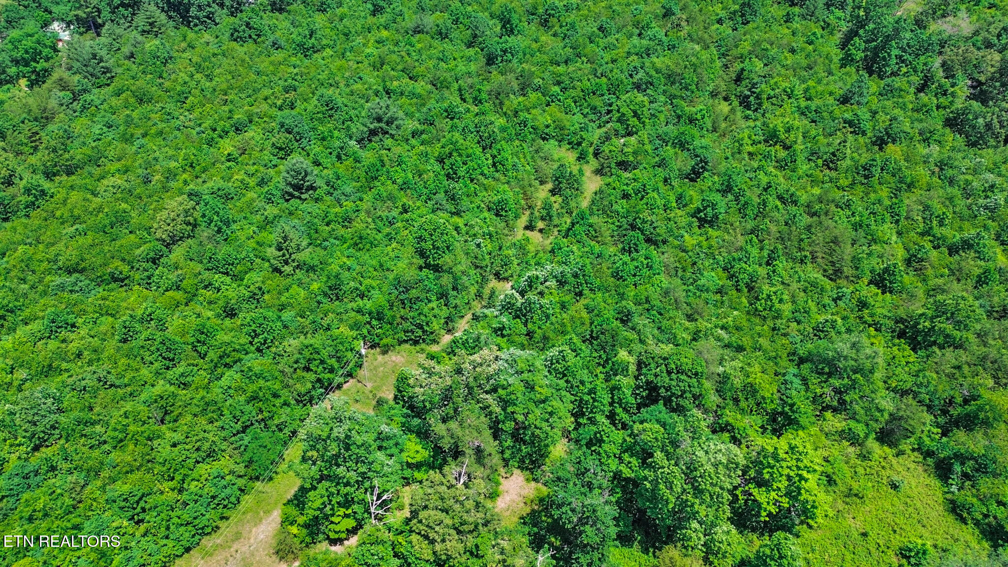 Adams Creek Road Crossville TN 38571
