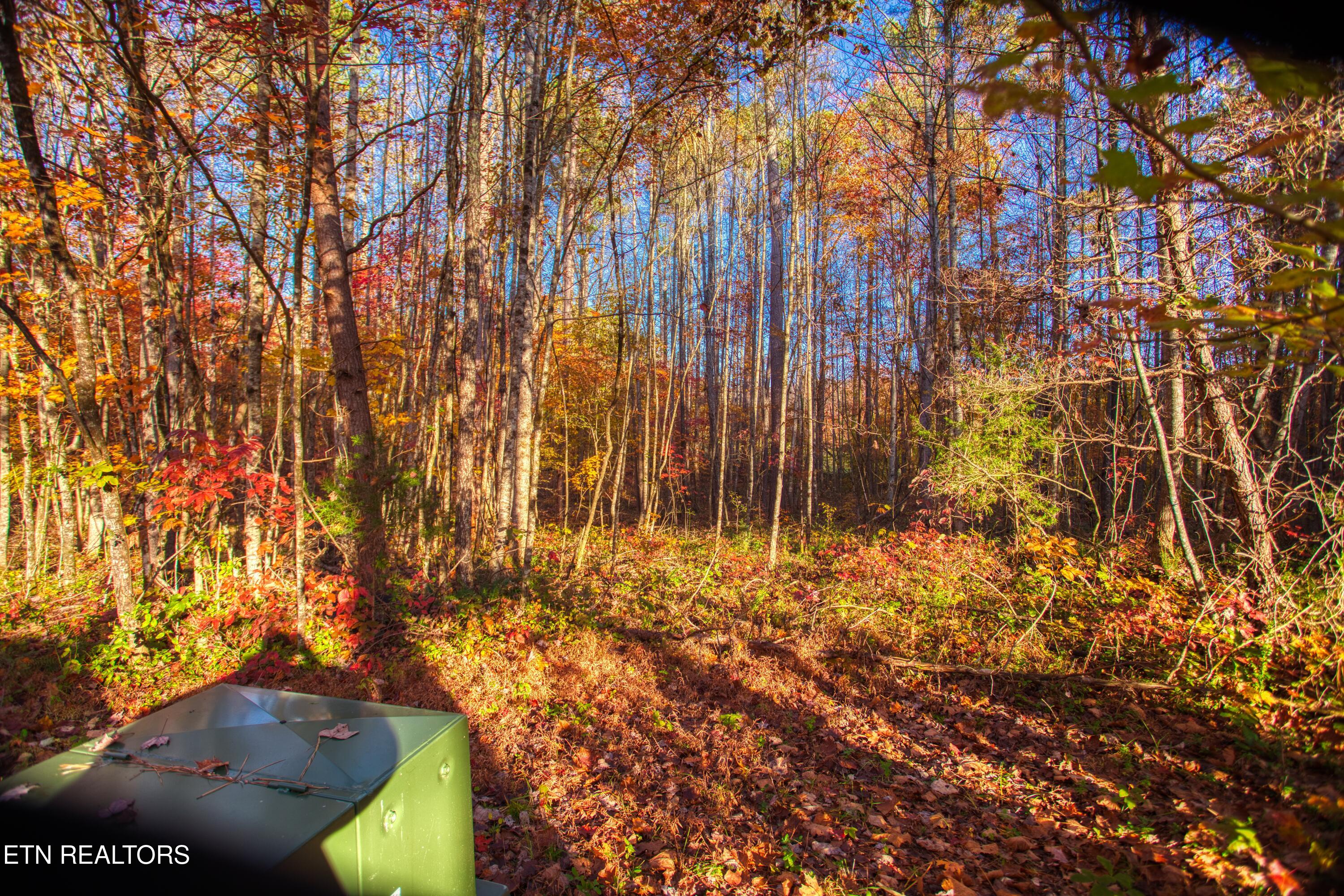 1192 Shellotte Loop Pall Mall TN 38577