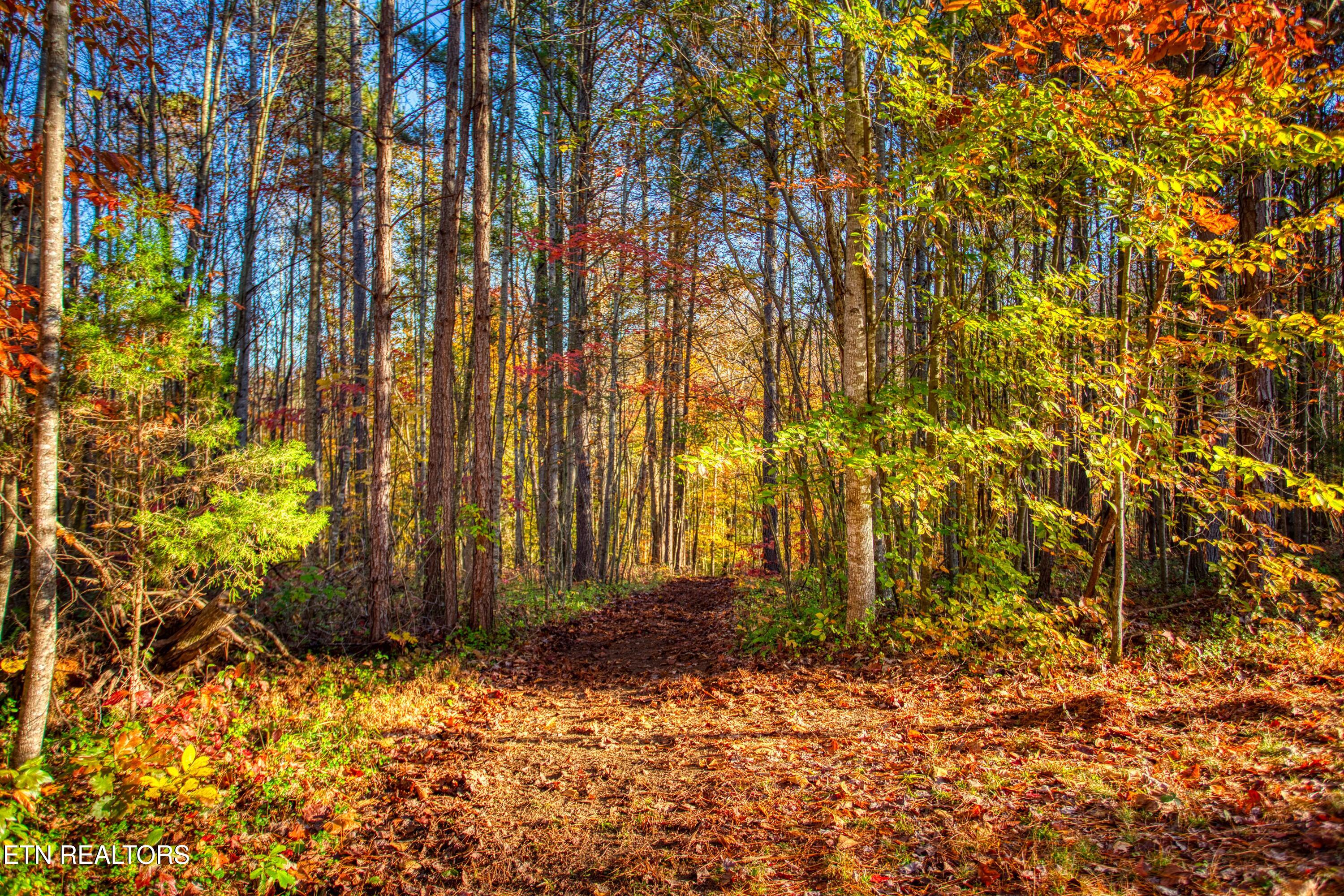 1192 Shellotte Loop Pall Mall TN 38577