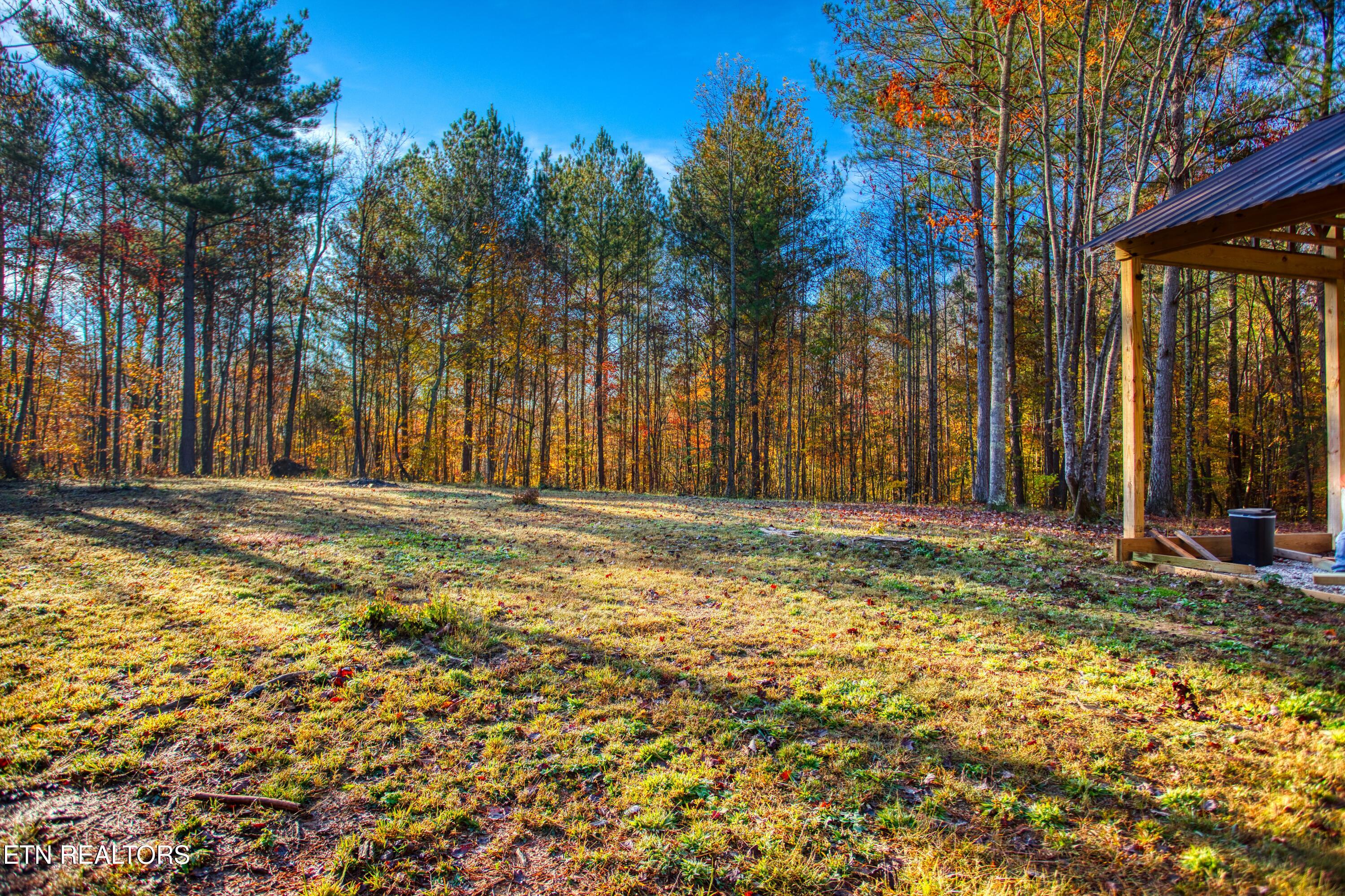 1192 Shellotte Loop Pall Mall TN 38577