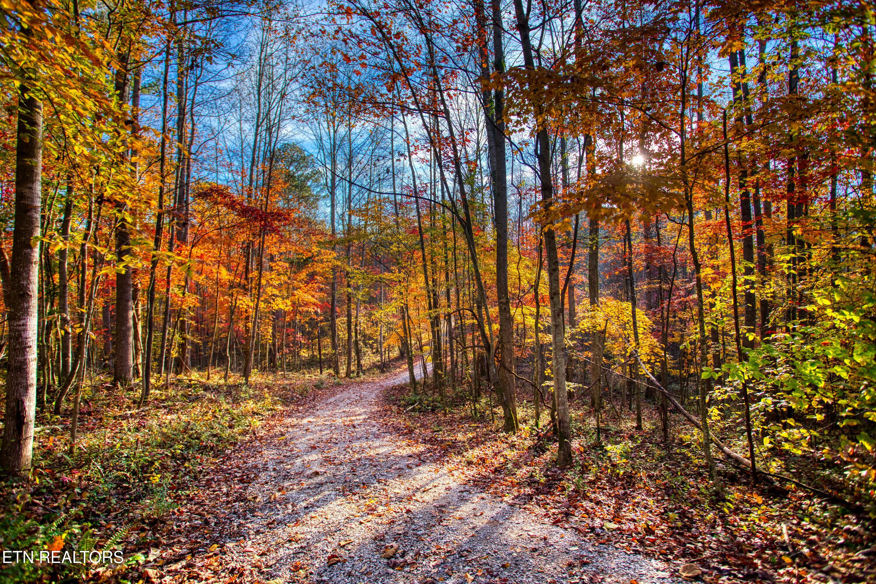 1192 Shellotte Loop Pall Mall TN 38577
