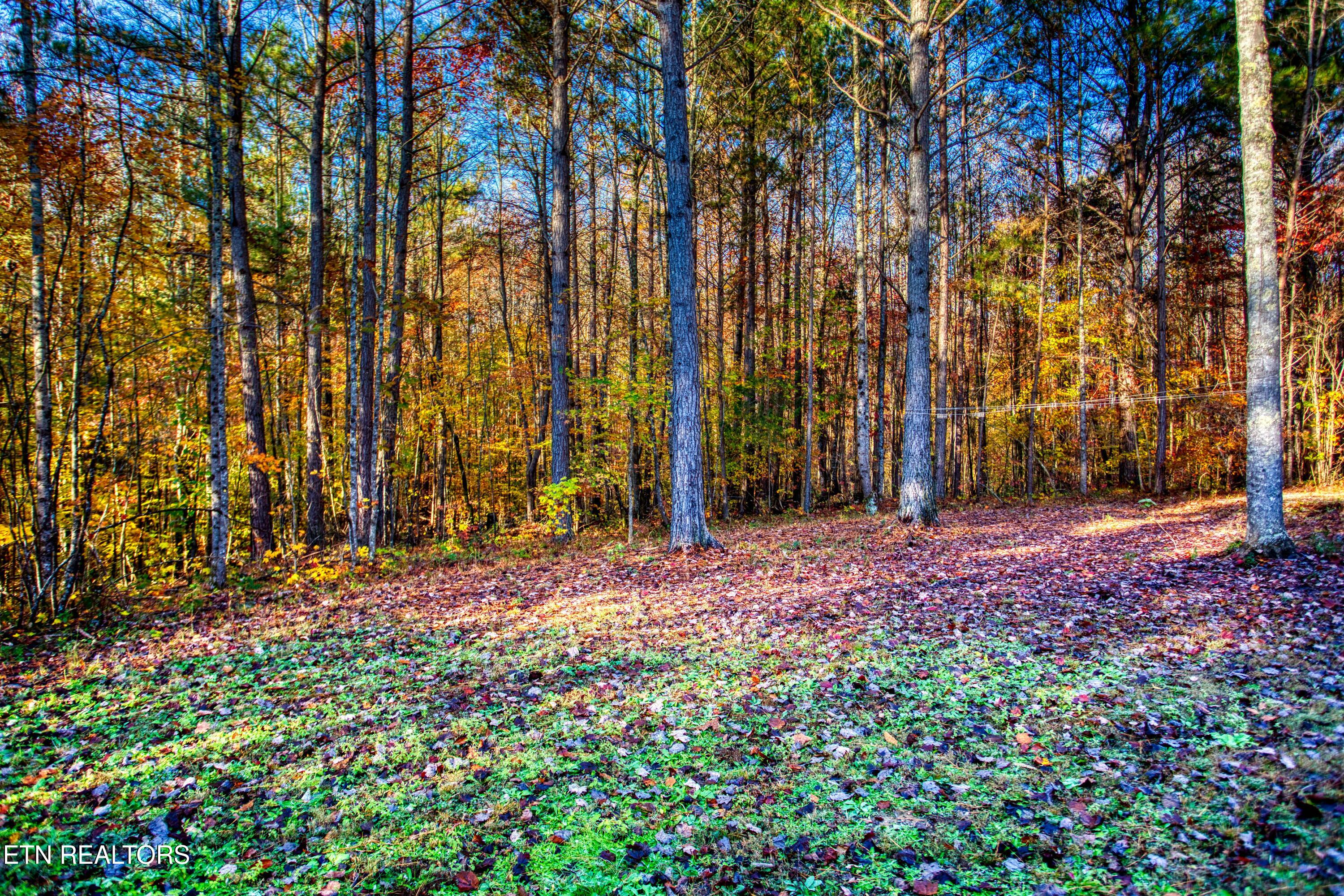1192 Shellotte Loop Pall Mall TN 38577