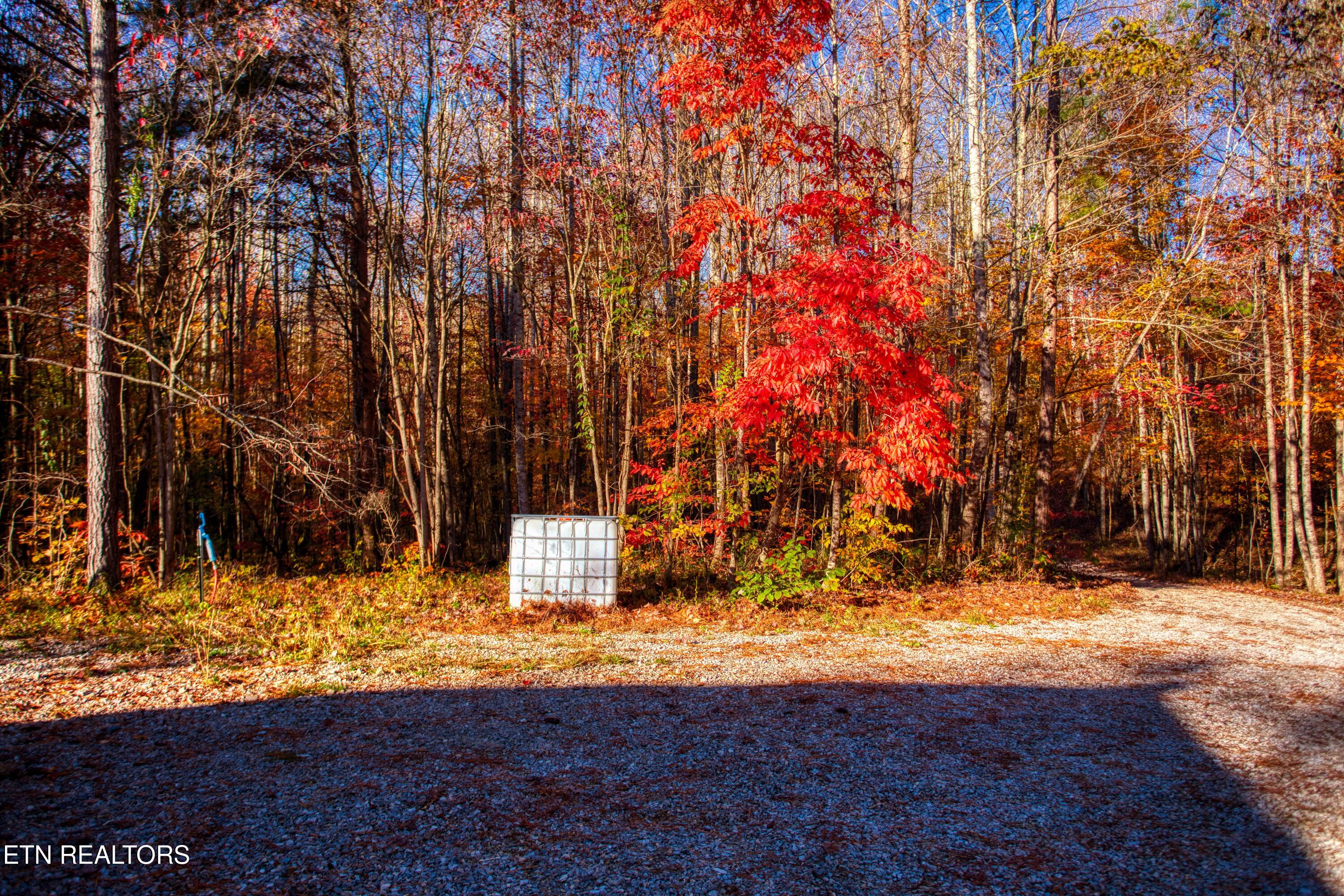1192 Shellotte Loop Pall Mall TN 38577