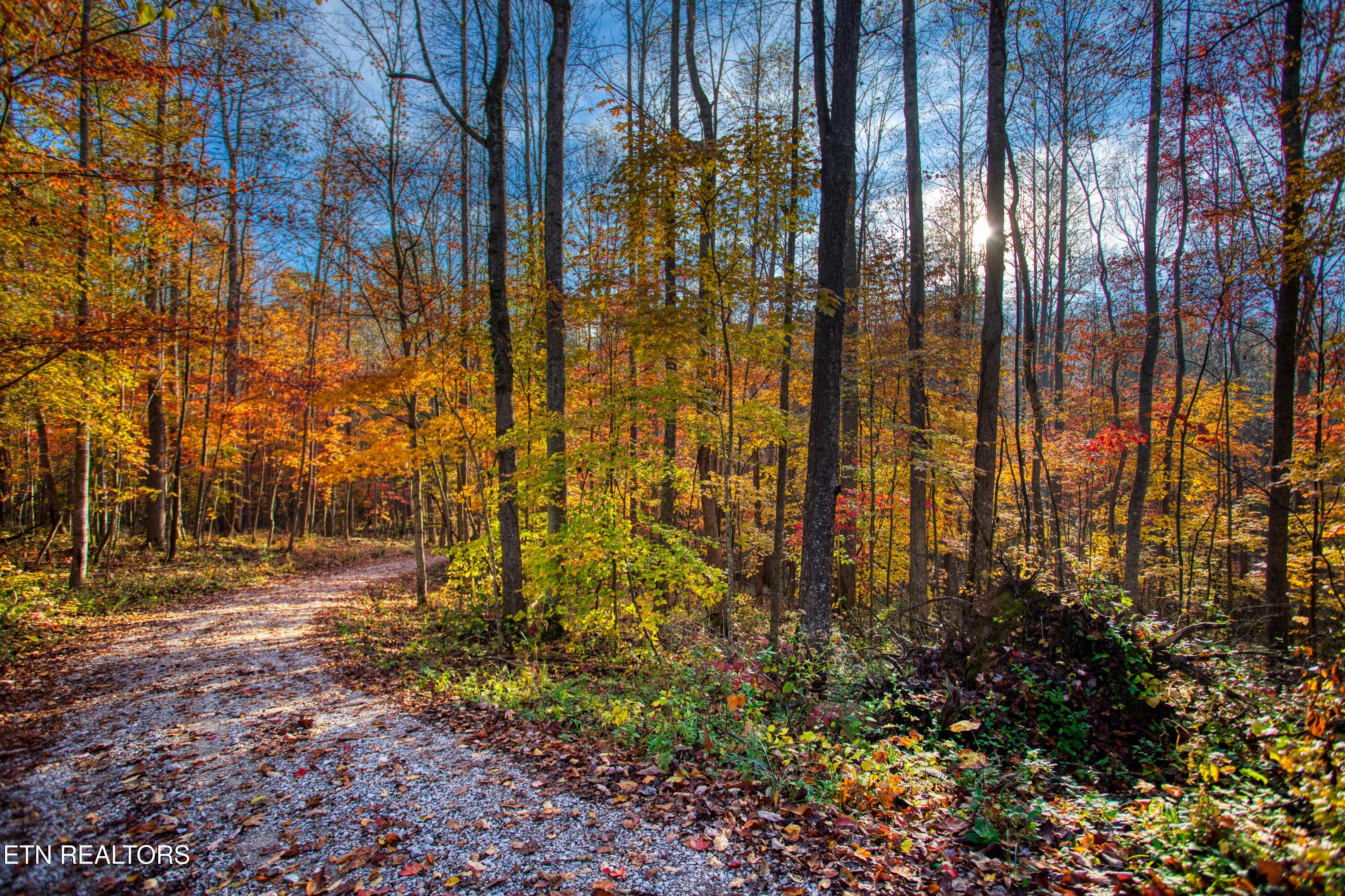 1192 Shellotte Loop Pall Mall TN 38577