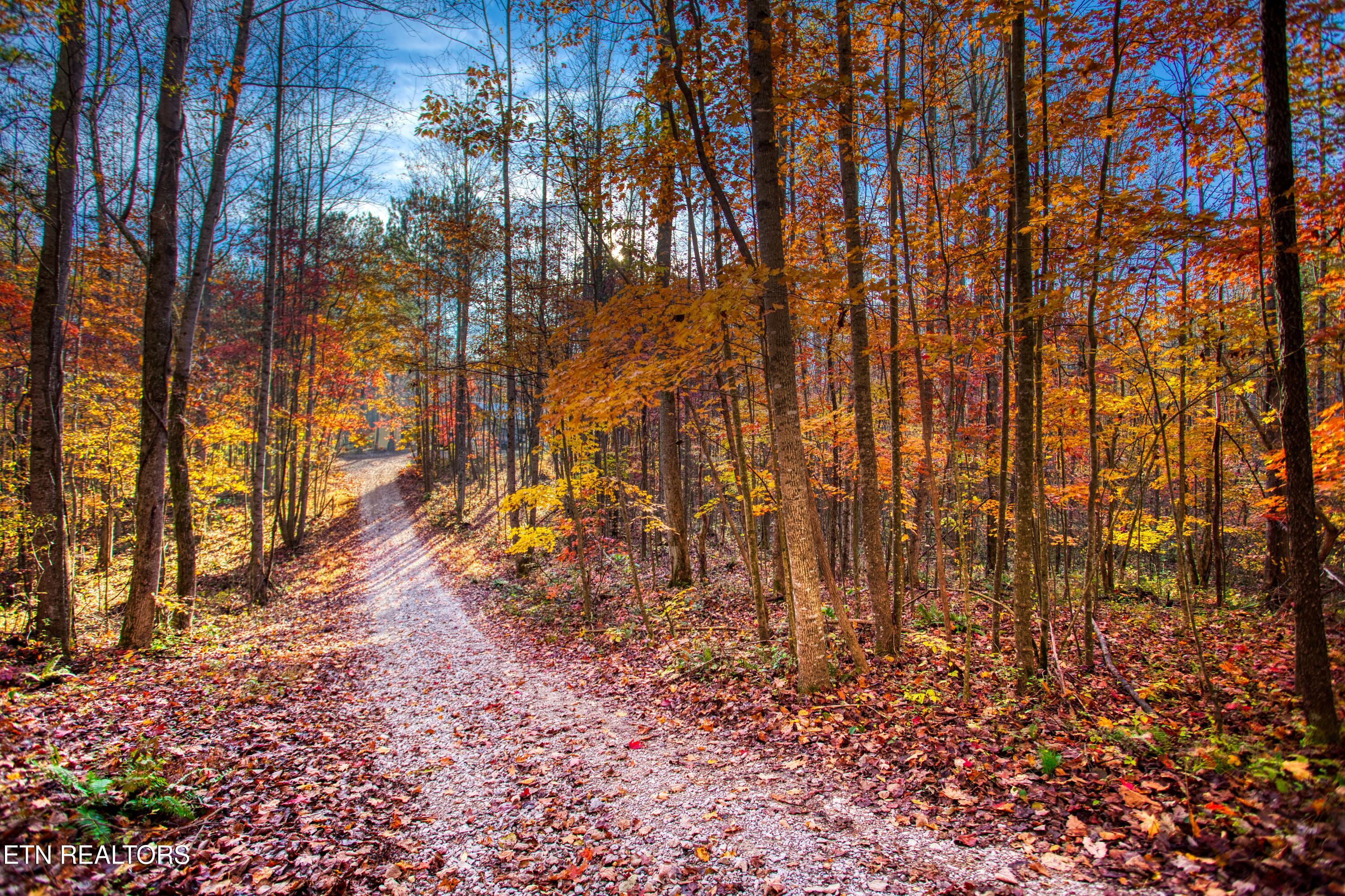 1192 Shellotte Loop Pall Mall TN 38577