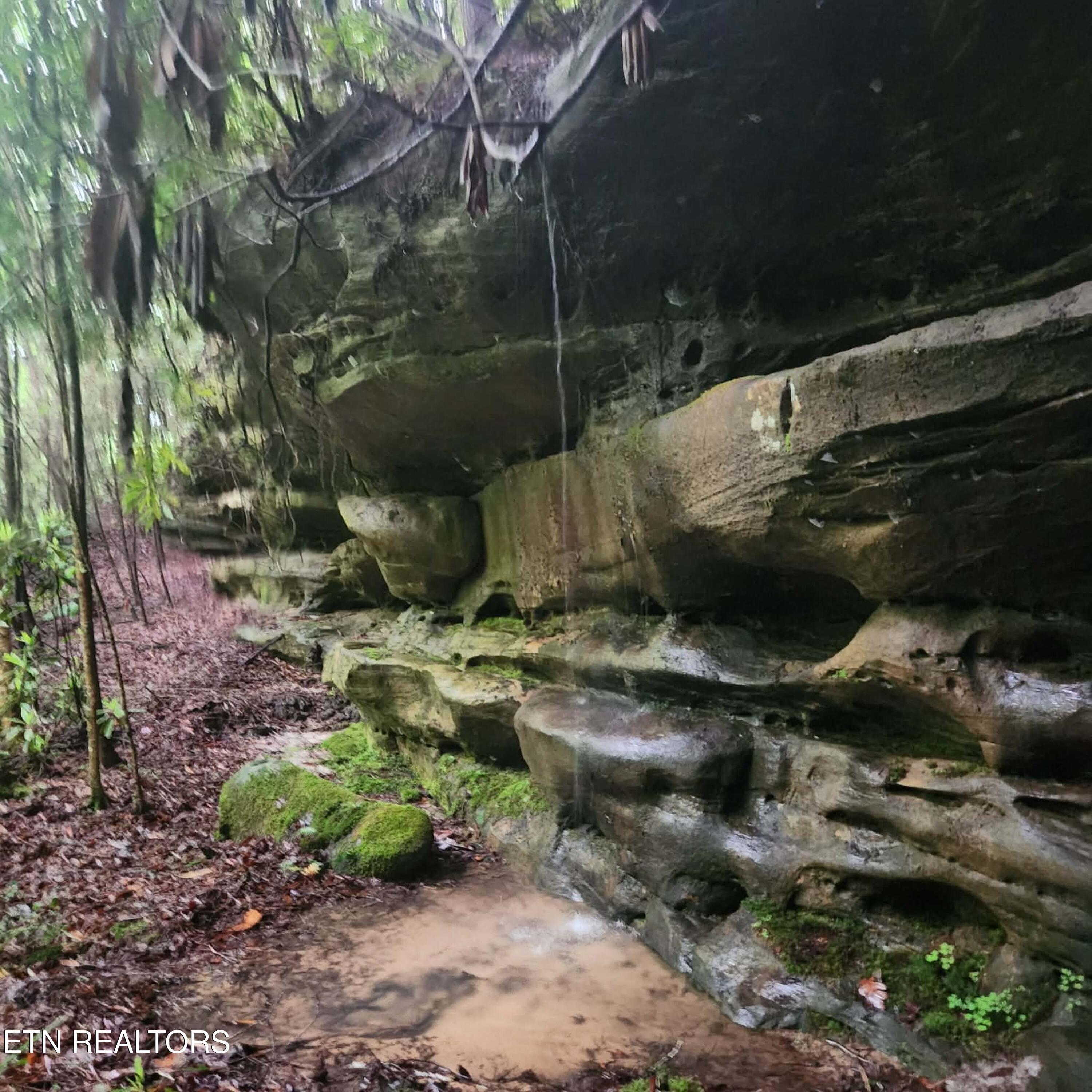 186 Crockett Cemetery Road Jamestown TN 38556