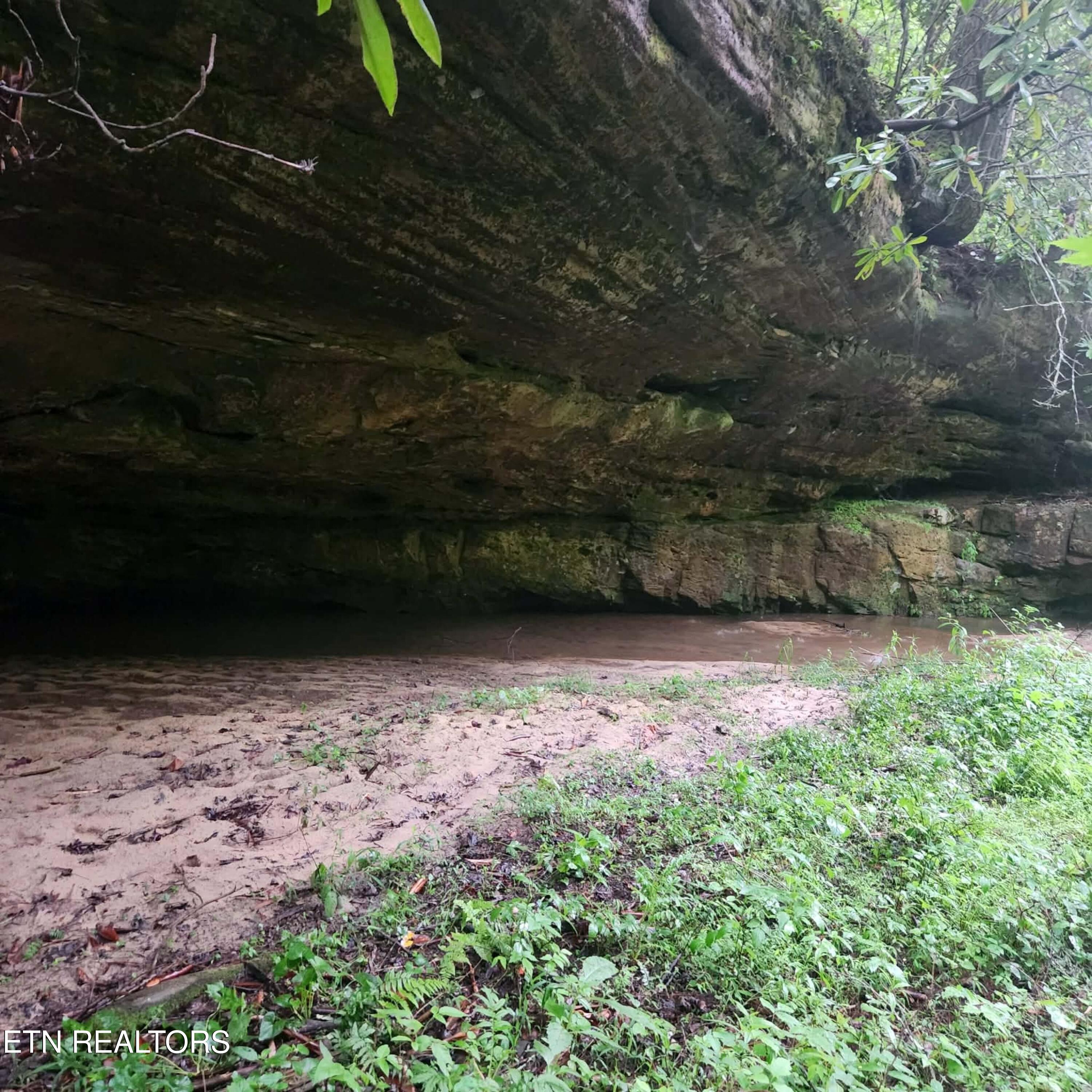 186 Crockett Cemetery Road Jamestown TN 38556
