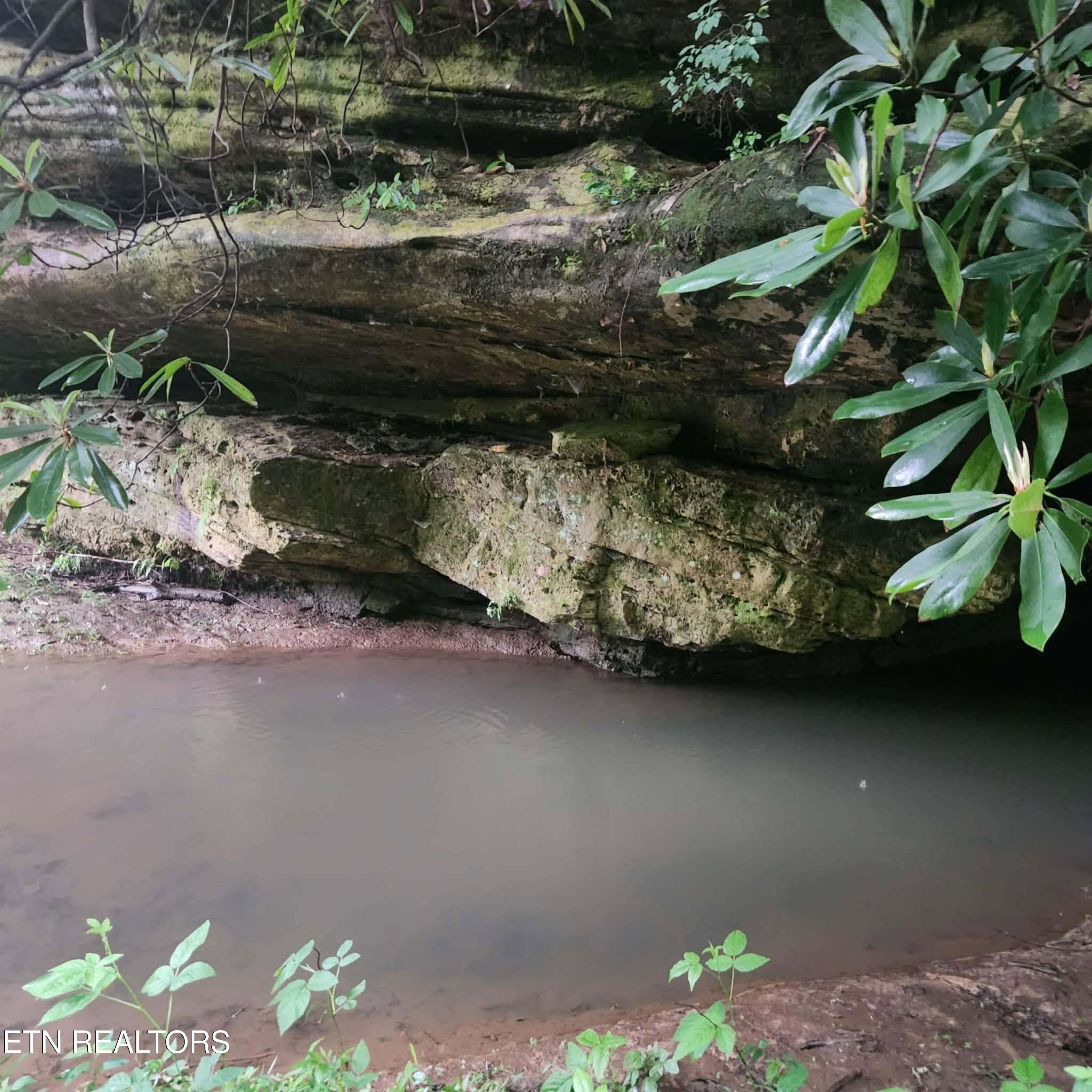 186 Crockett Cemetery Road Jamestown TN 38556