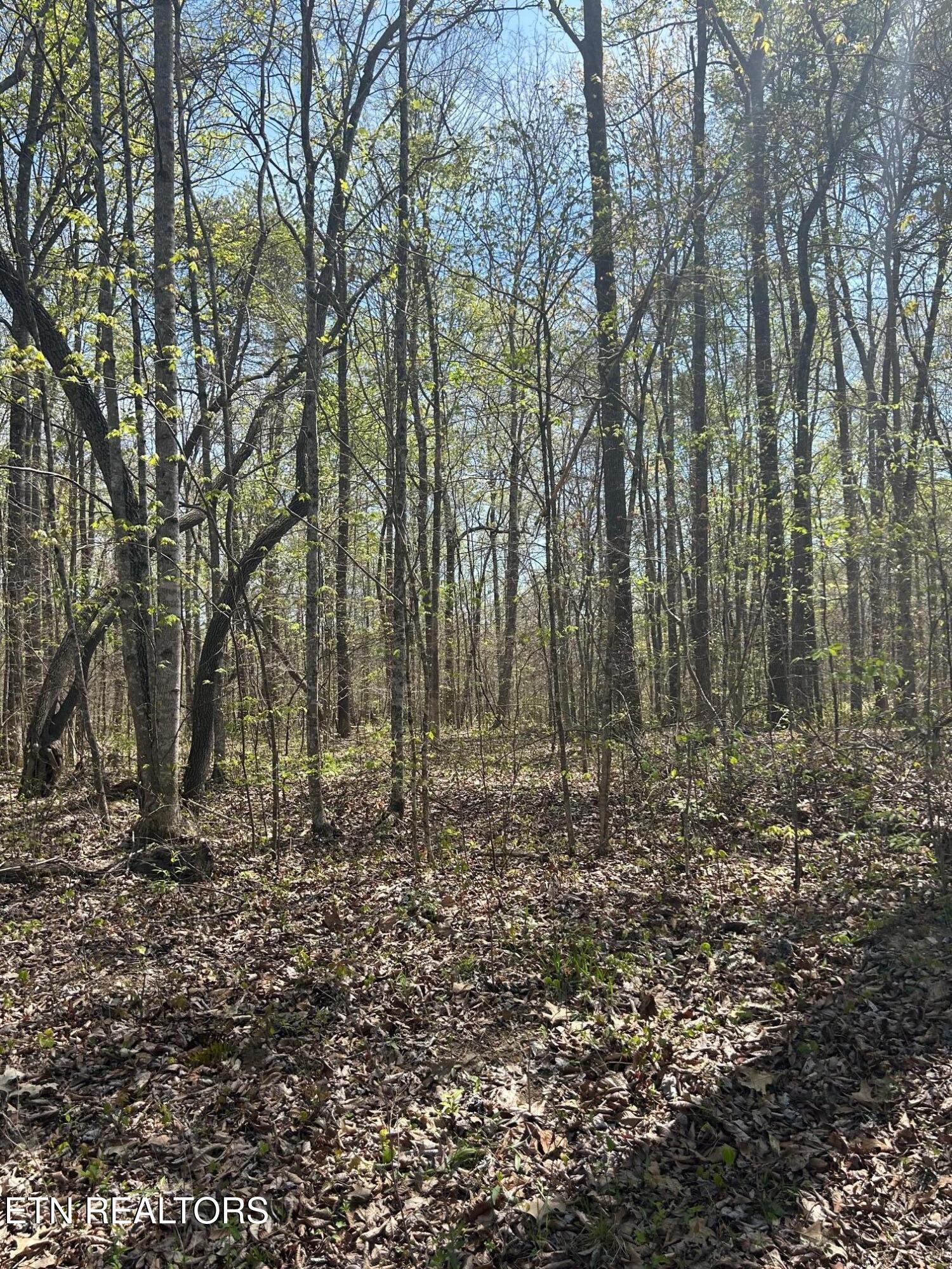 Lot 9 Jones Ridge Road Speedwell TN 37870