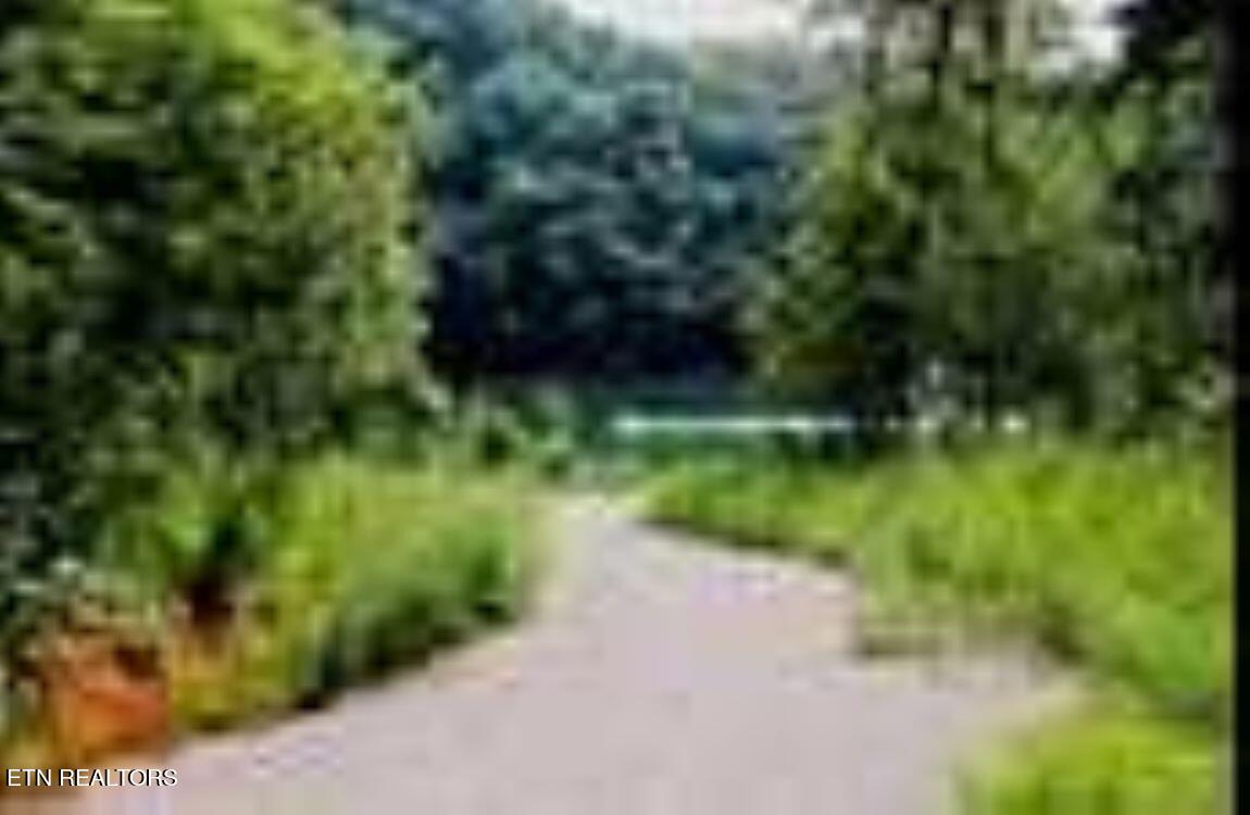 Lot 9 Jones Ridge Road Speedwell TN 37870