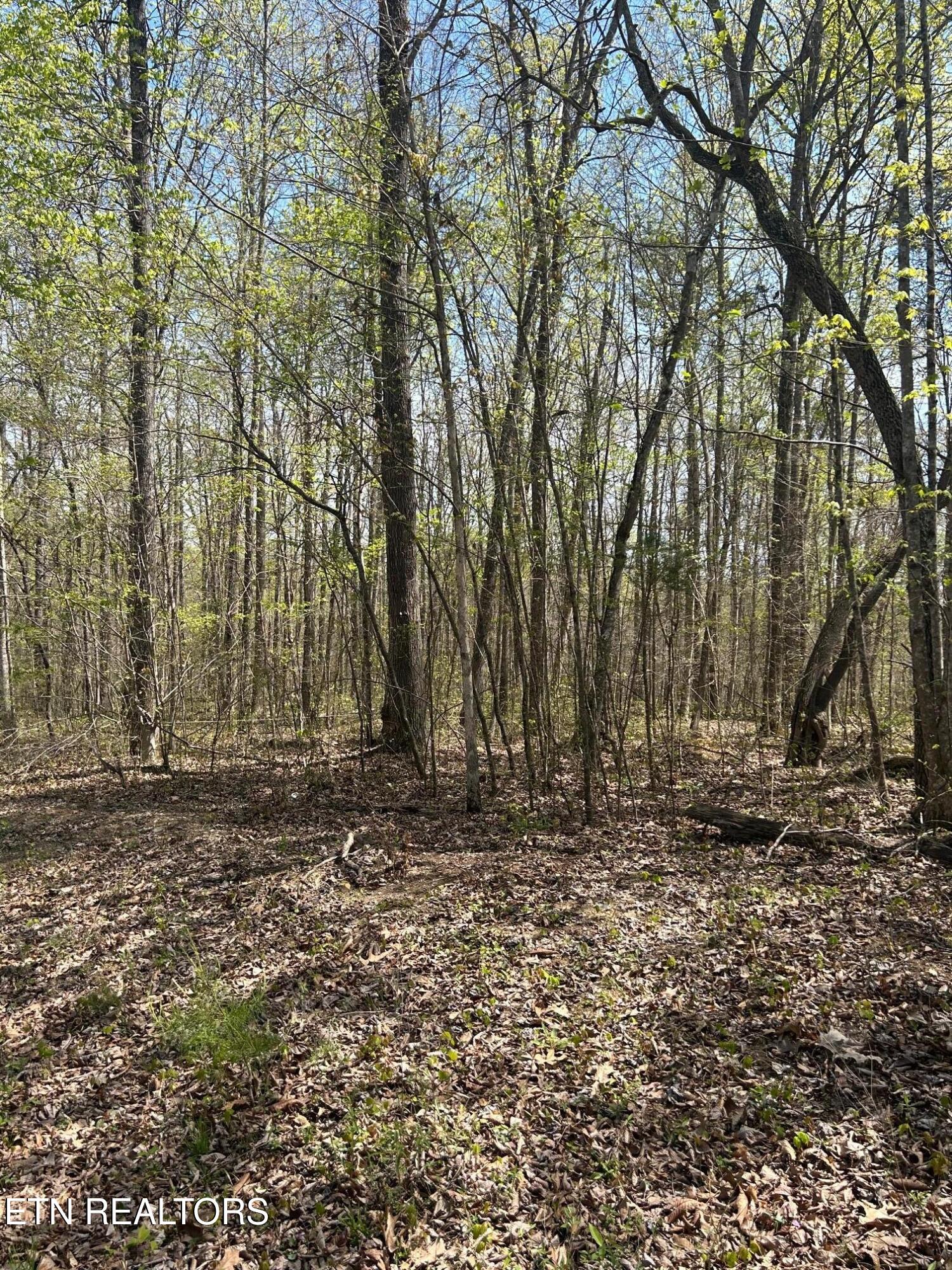 Lot 9 Jones Ridge Road Speedwell TN 37870