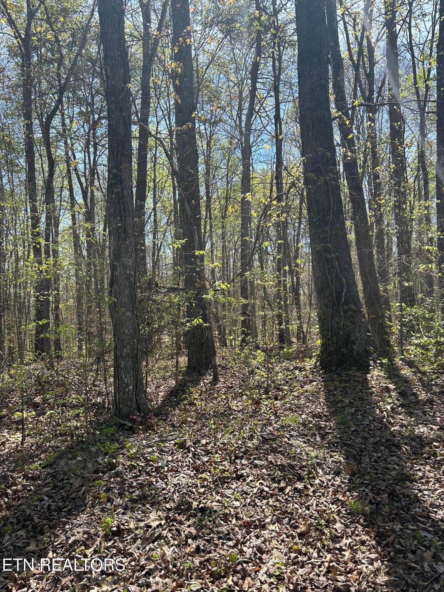 Lot 9 Jones Ridge Road Speedwell TN 37870