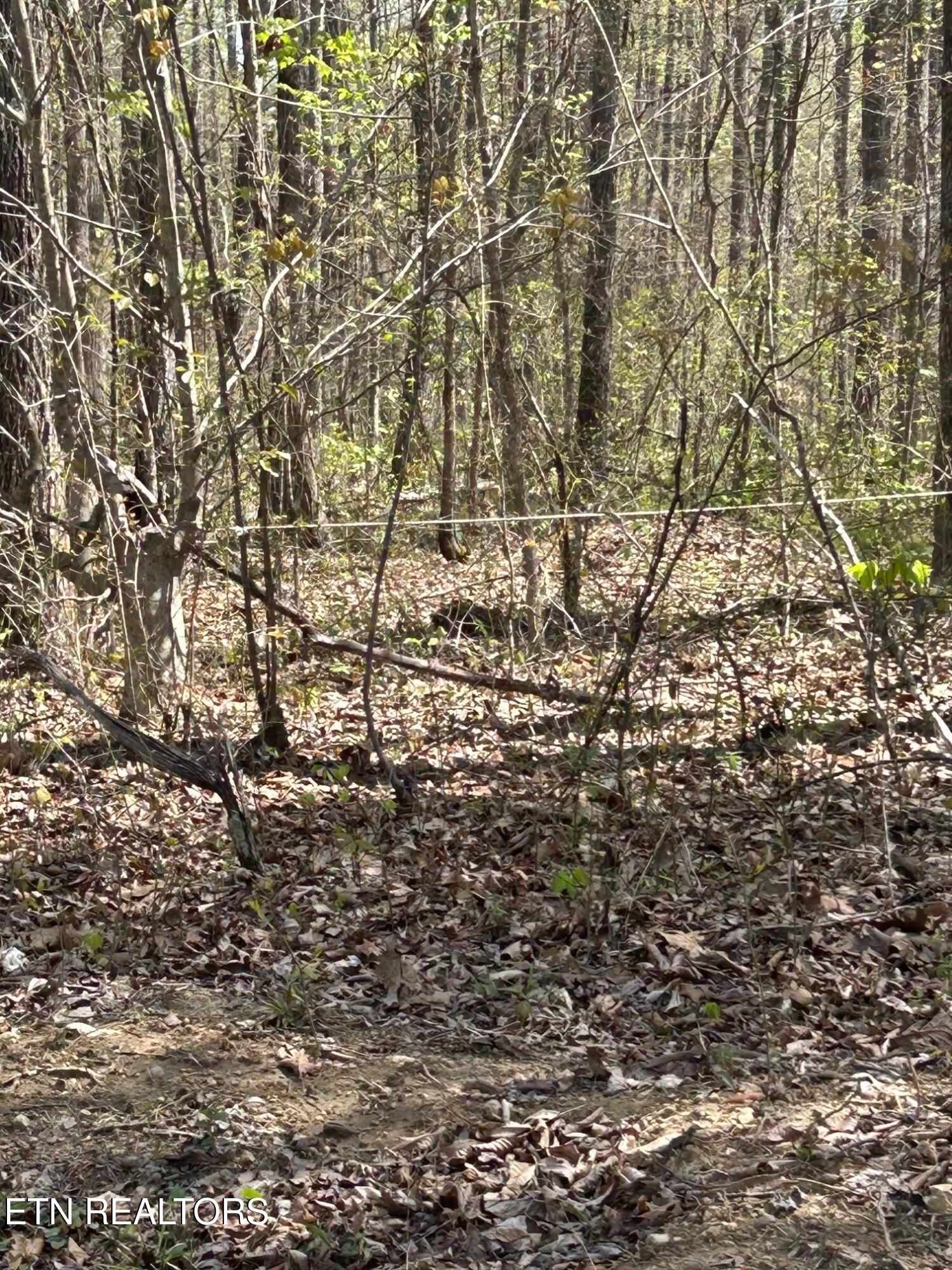 Lot 9 Jones Ridge Road Speedwell TN 37870