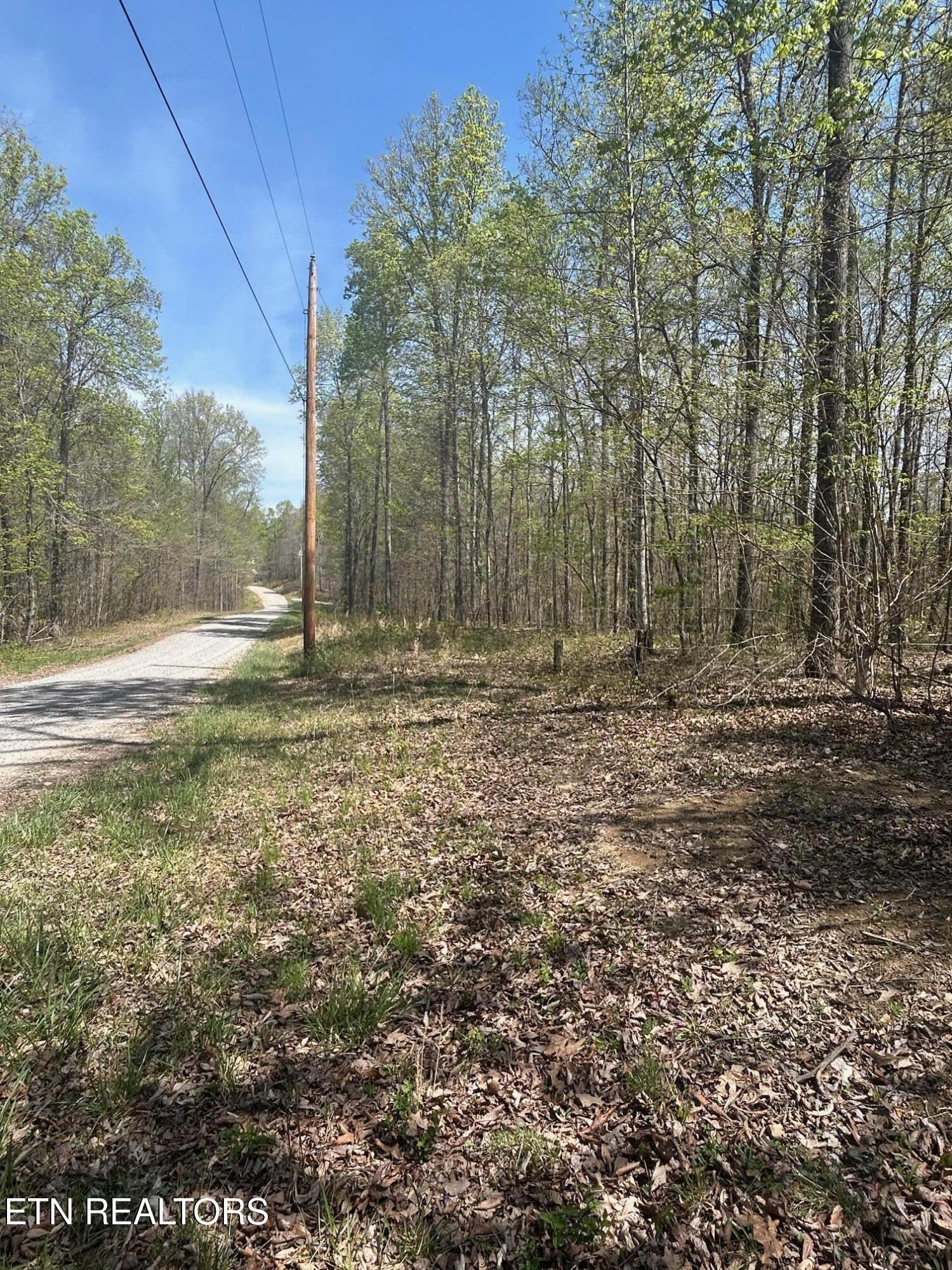 Lot 9 Jones Ridge Road Speedwell TN 37870