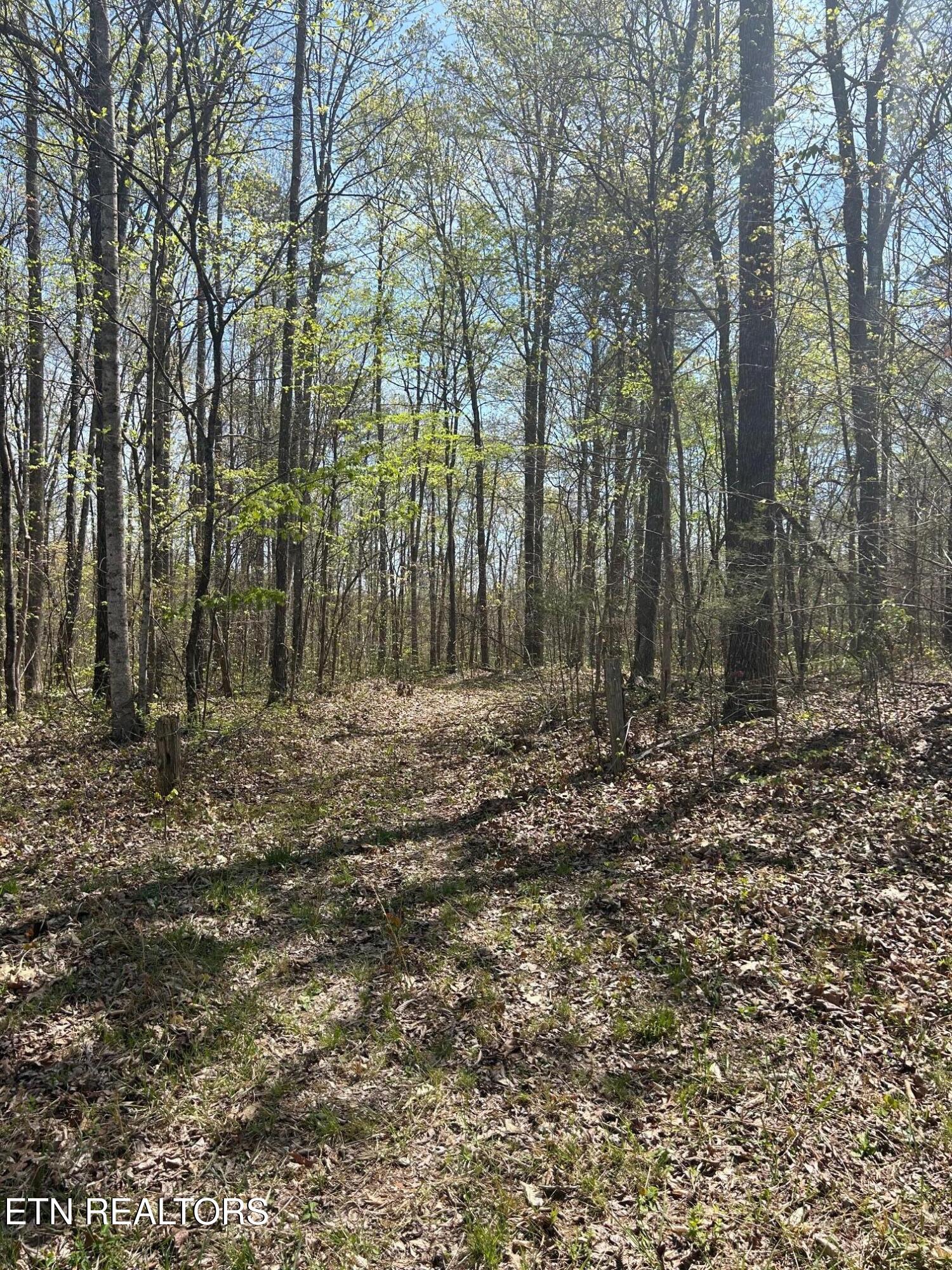 Lot 9 Jones Ridge Road Speedwell TN 37870