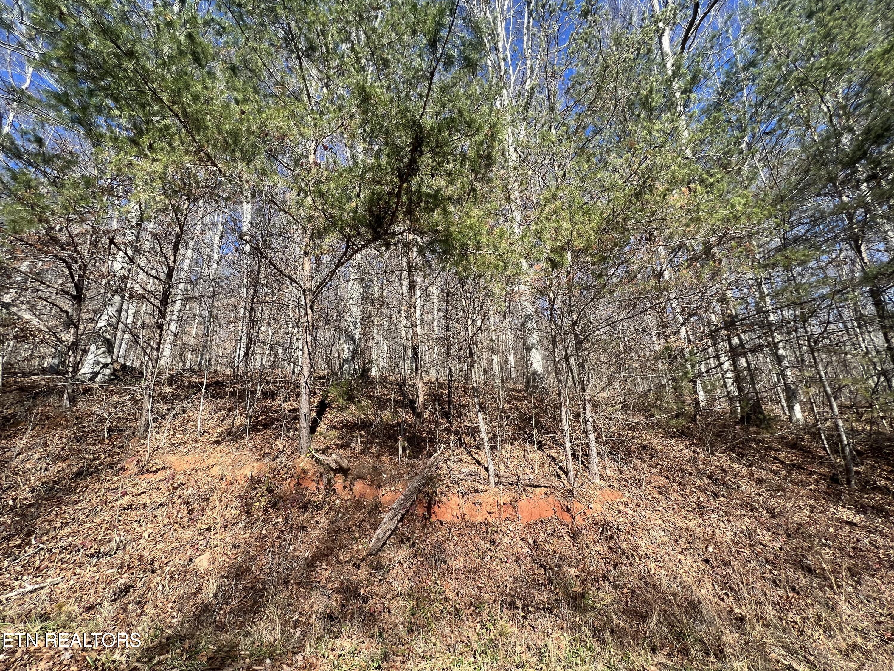 Lot 9 Jones Ridge Road Speedwell TN 37870