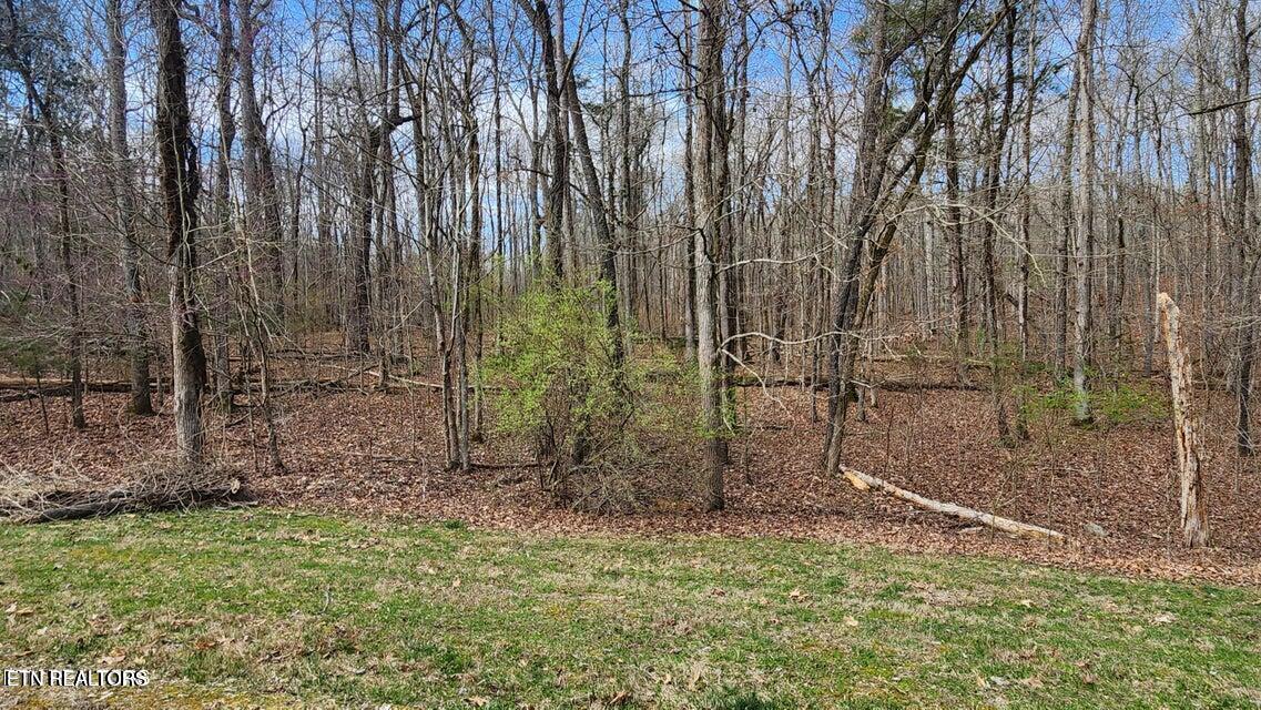 210 E Shore Drive Rockwood TN 37854